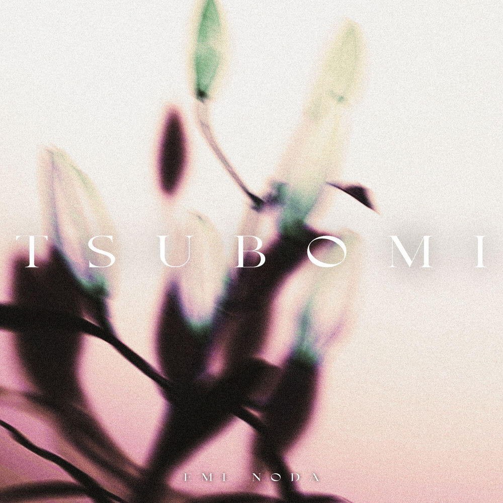 Релиз TSUBOMI