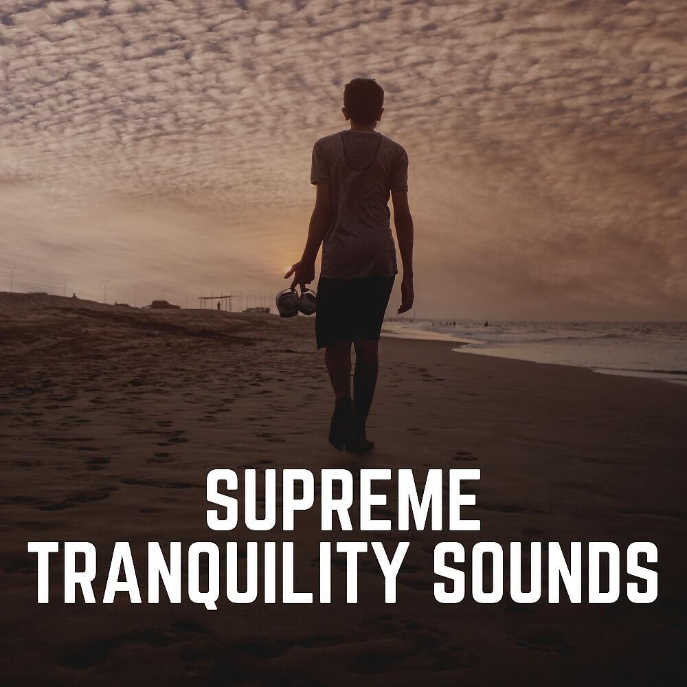Релиз Supreme Tranquility Sounds