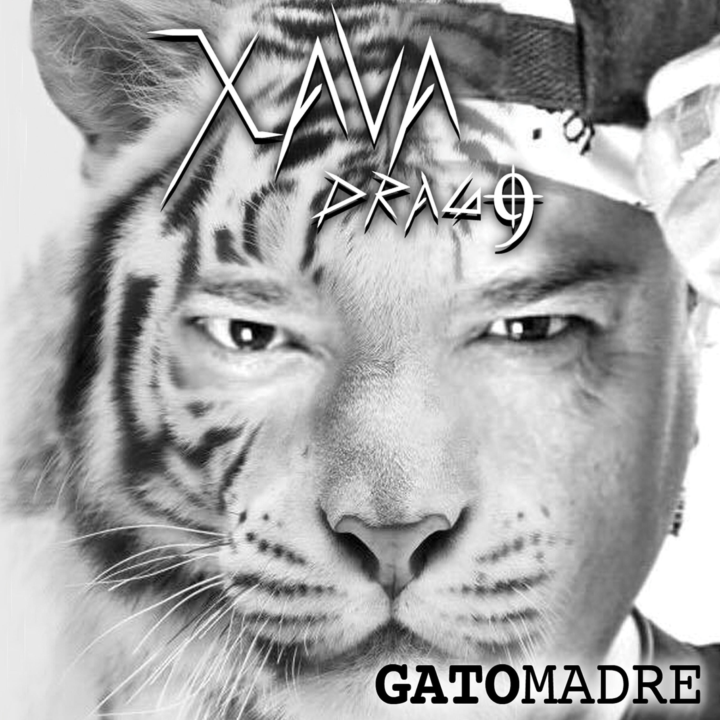 Релиз Gatomadre