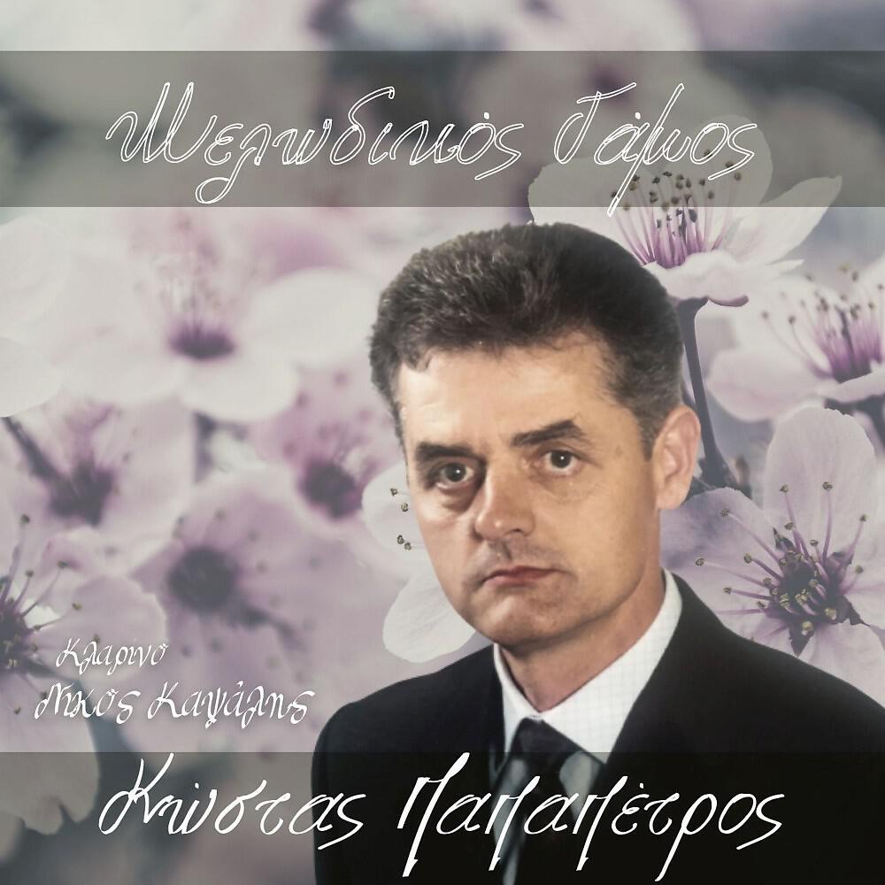 Κώστας Παπαπέτρος