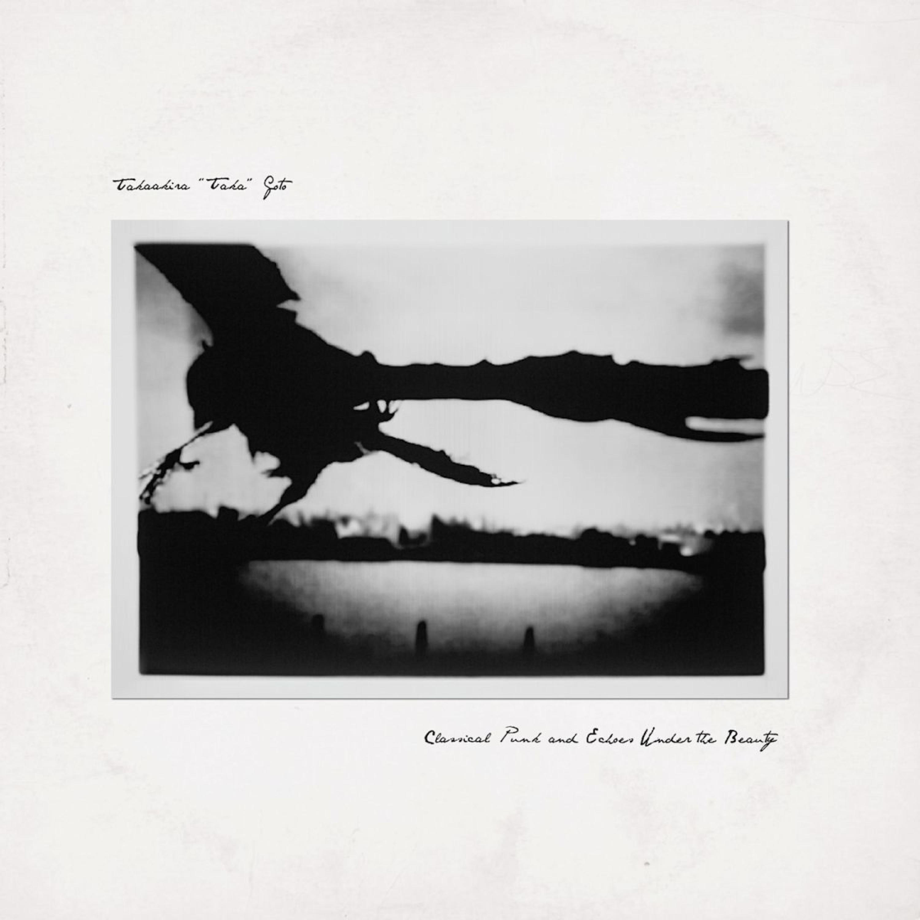 Релиз Classical Punk and Echoes Under the Beauty