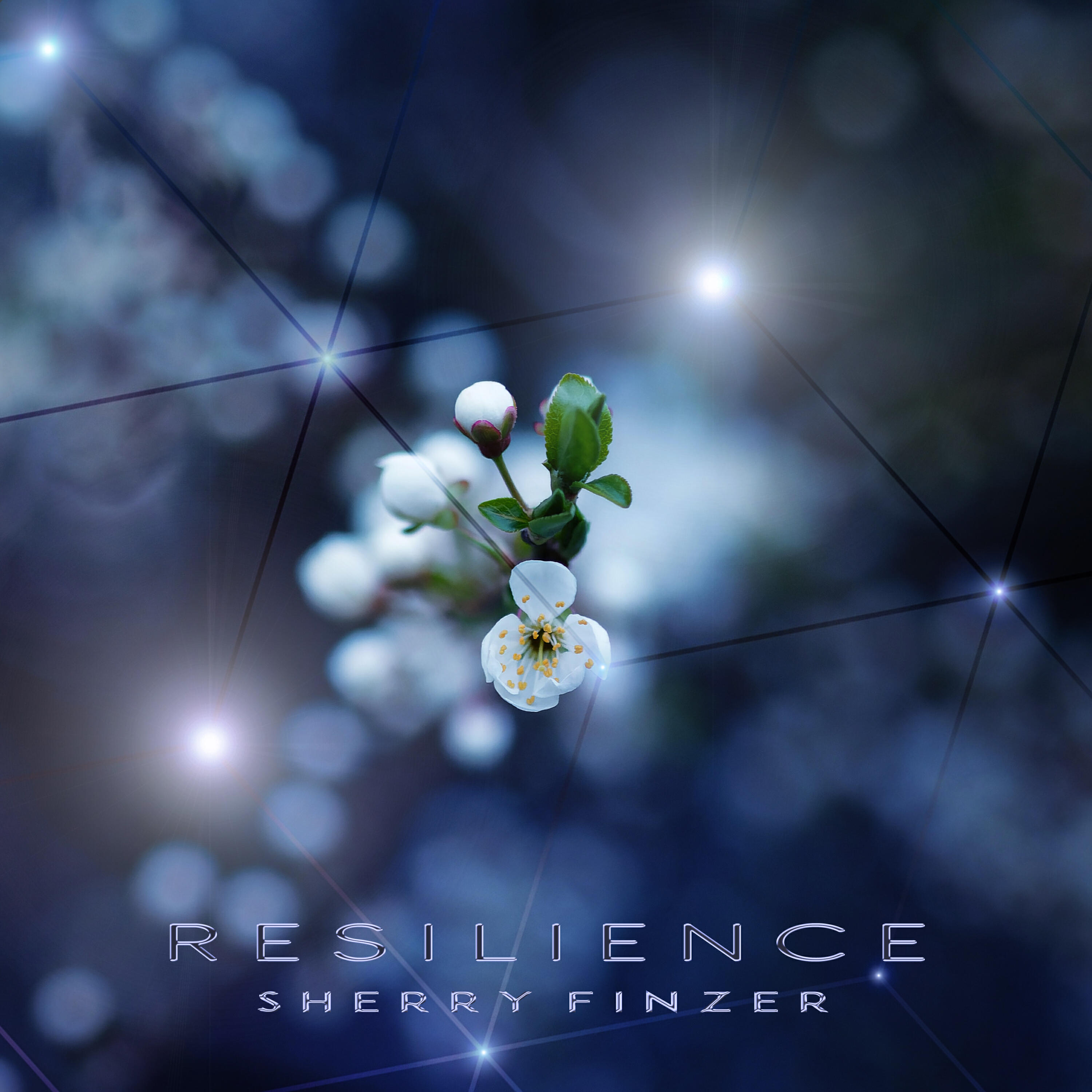 Трек Resilience