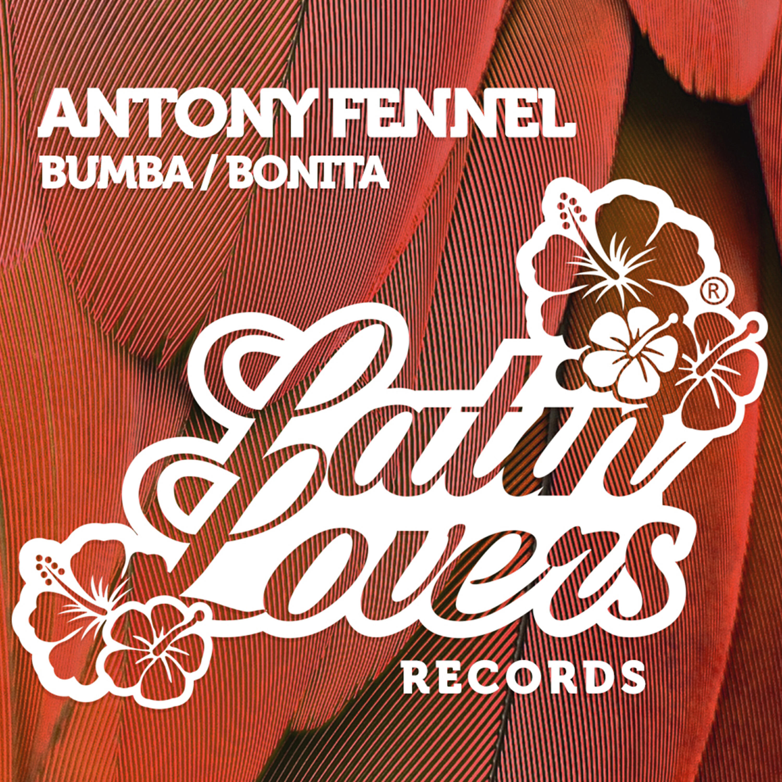 Релиз Bumba / Bonita - Single
