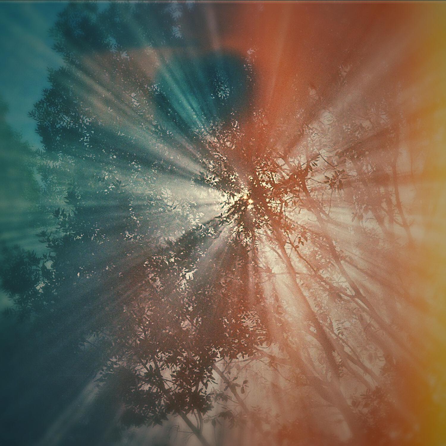 Релиз Autumn Sun