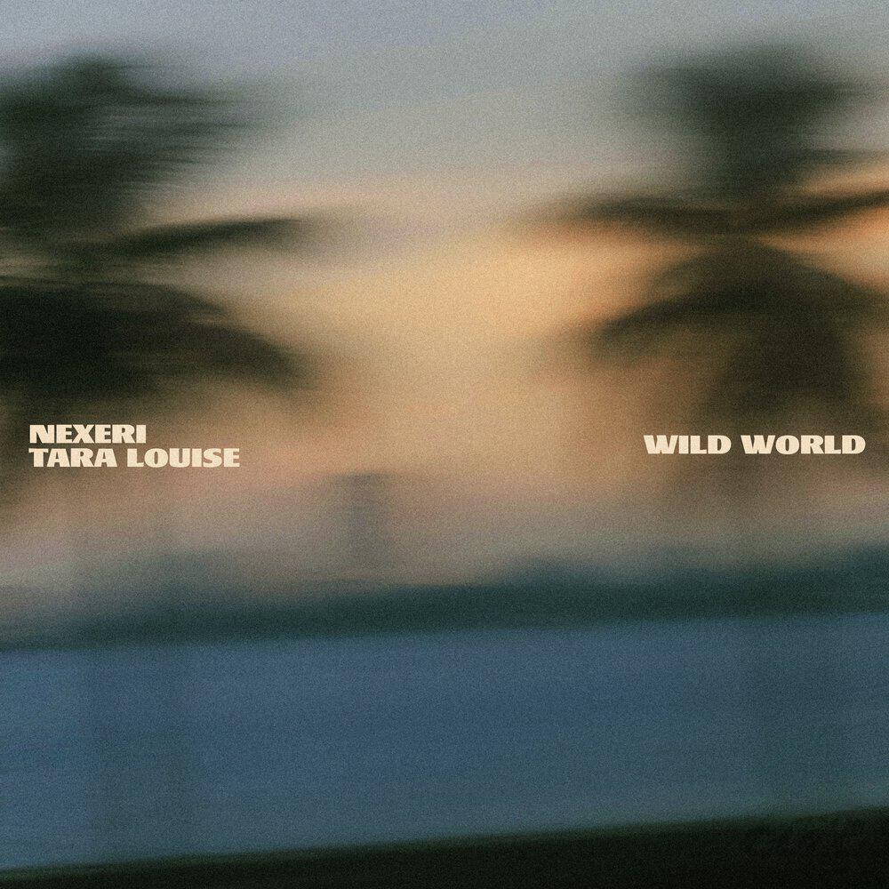 Релиз Wild World