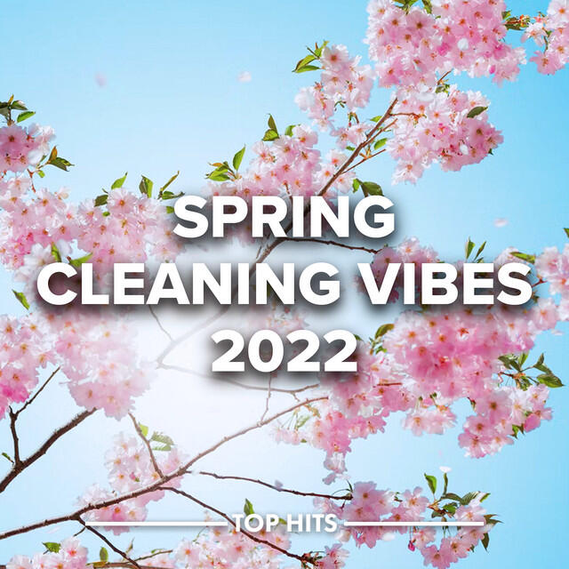 Релиз Spring Cleaning Vibes 2022