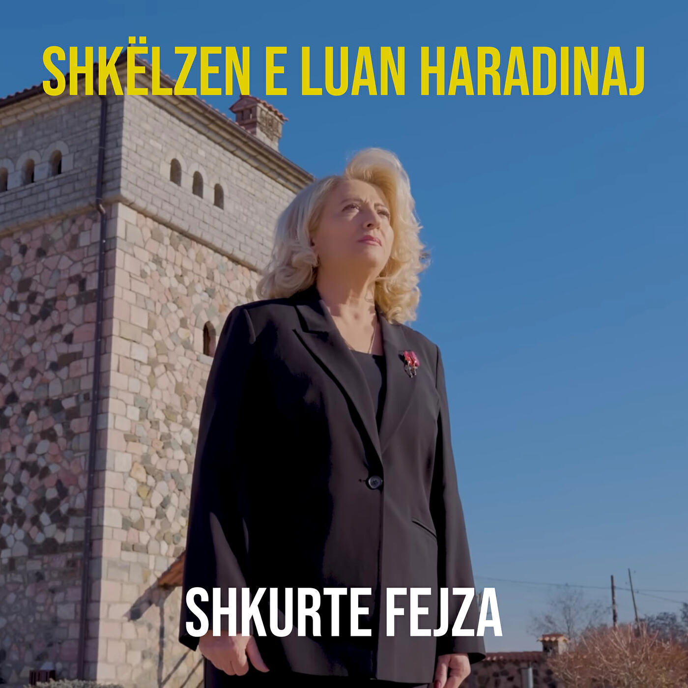 Релиз Shkëlzen E Luan Haradinaj