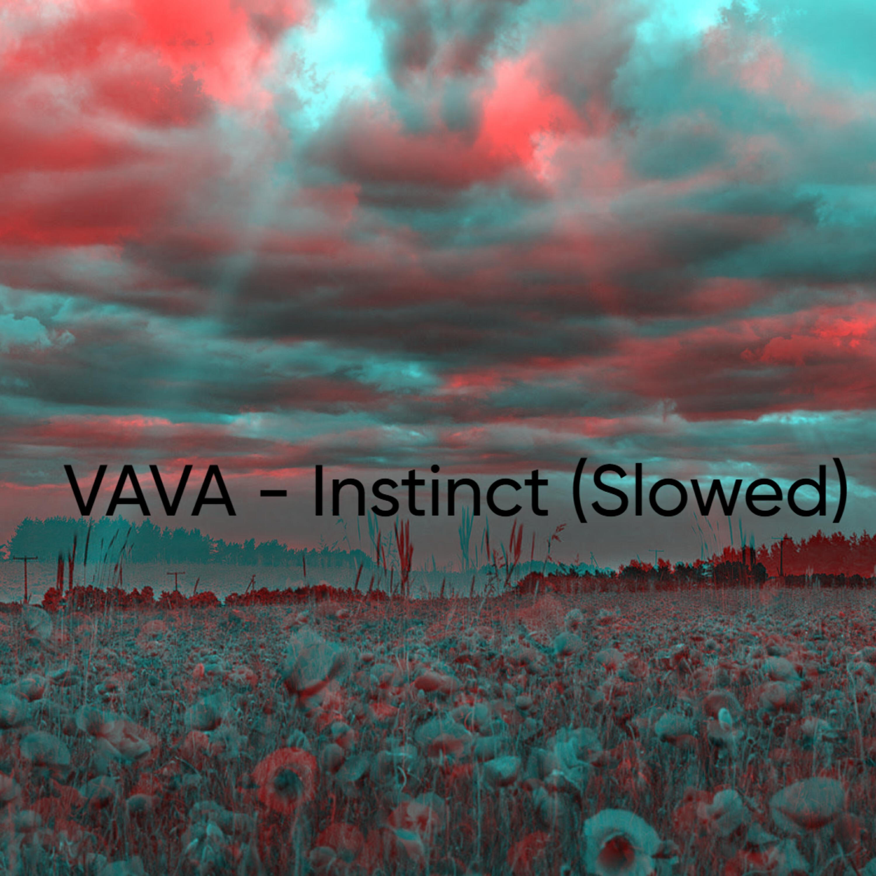 Постер альбома Instinct (Slowed)