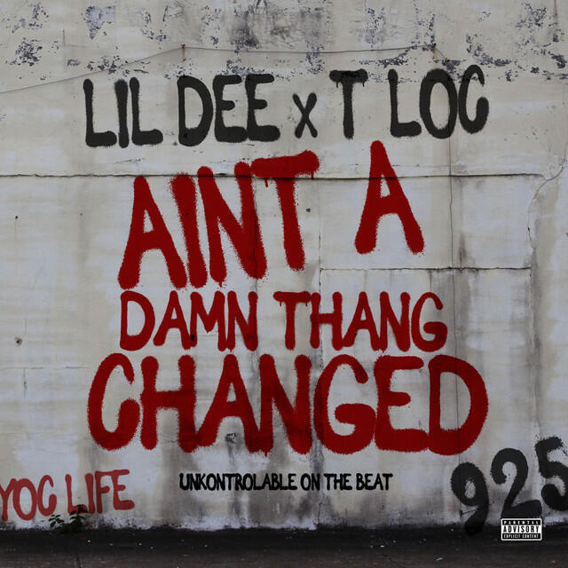Релиз Ain't a Dame Thang Changed