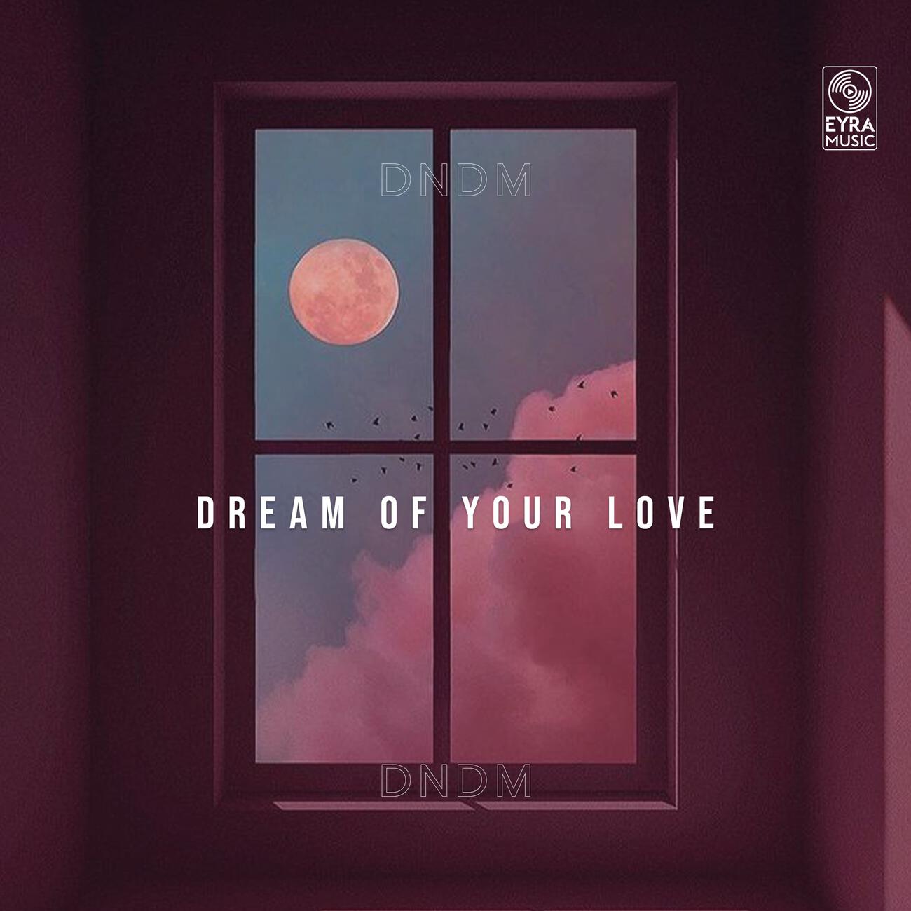 Релиз Dream of Your Love
