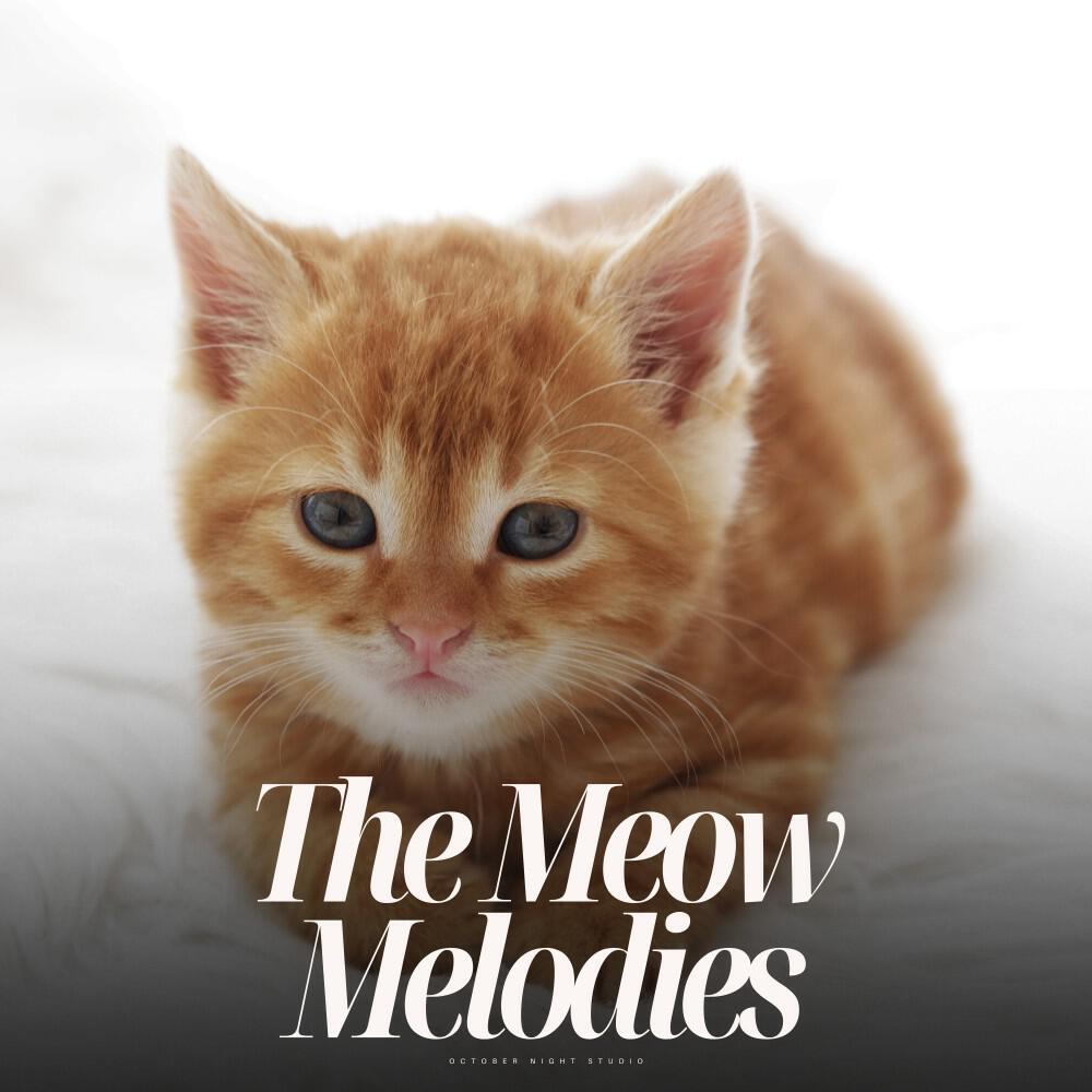 Релиз The Meow Melodies