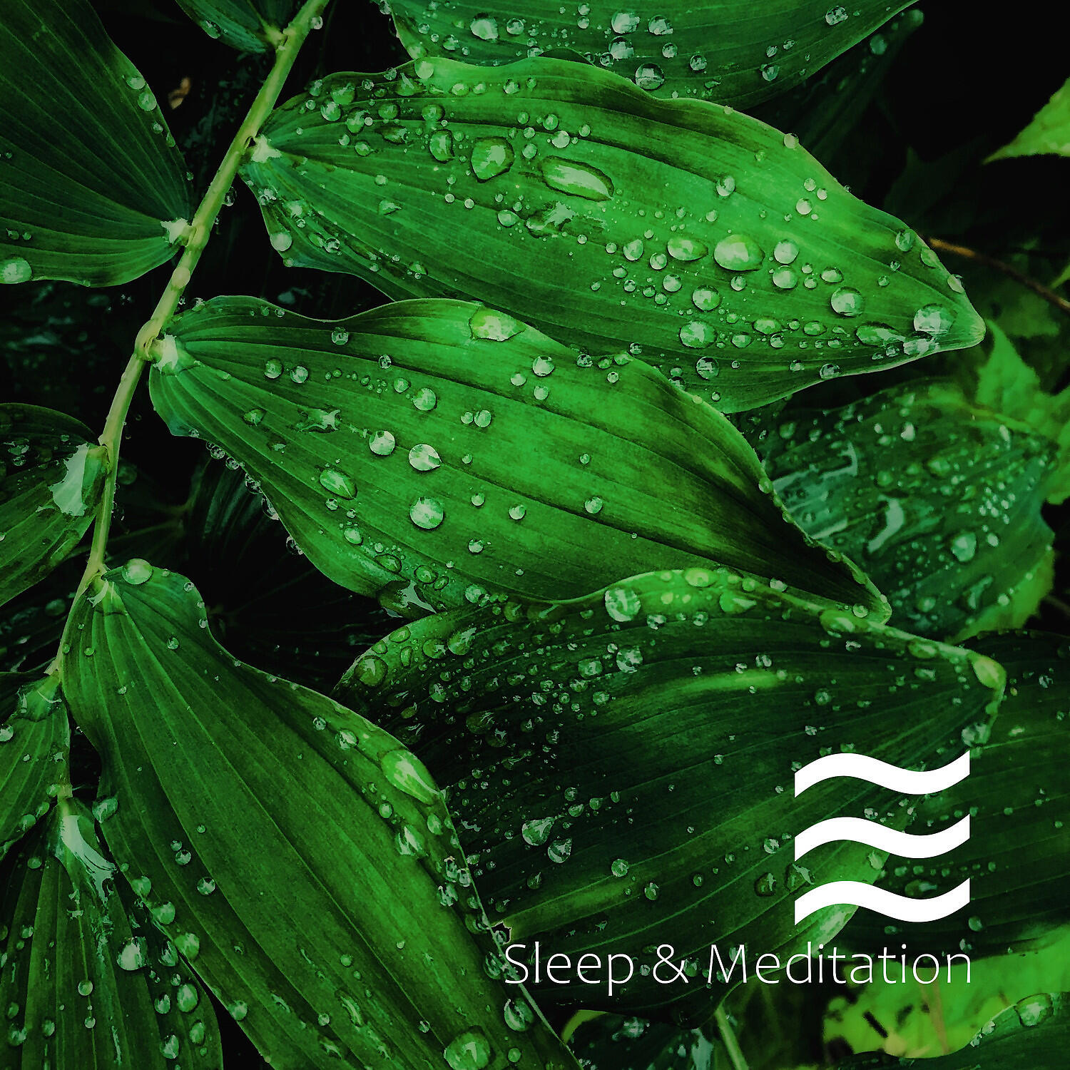 Rain and White Noise Baby Sleep