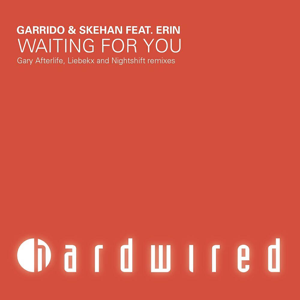 Постер альбома Waiting For You - The Remixes