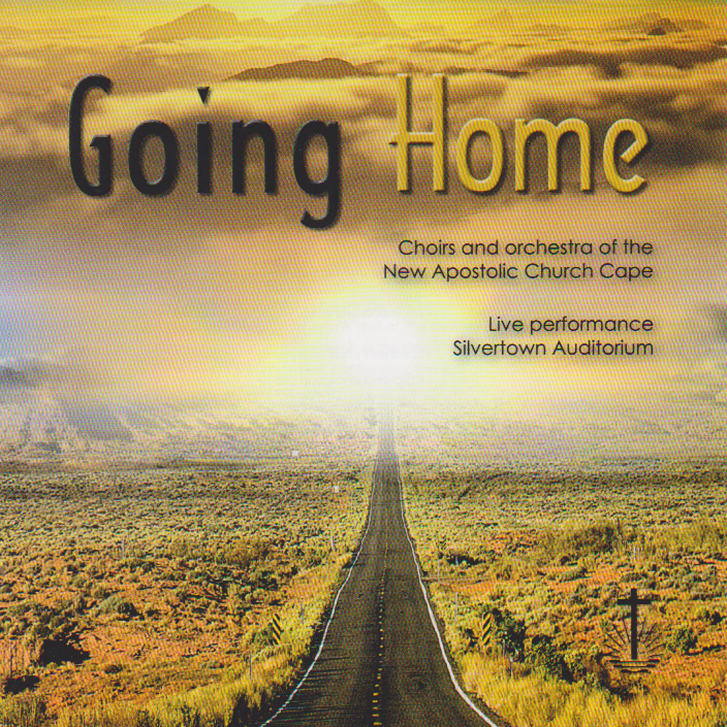 Релиз Going Home