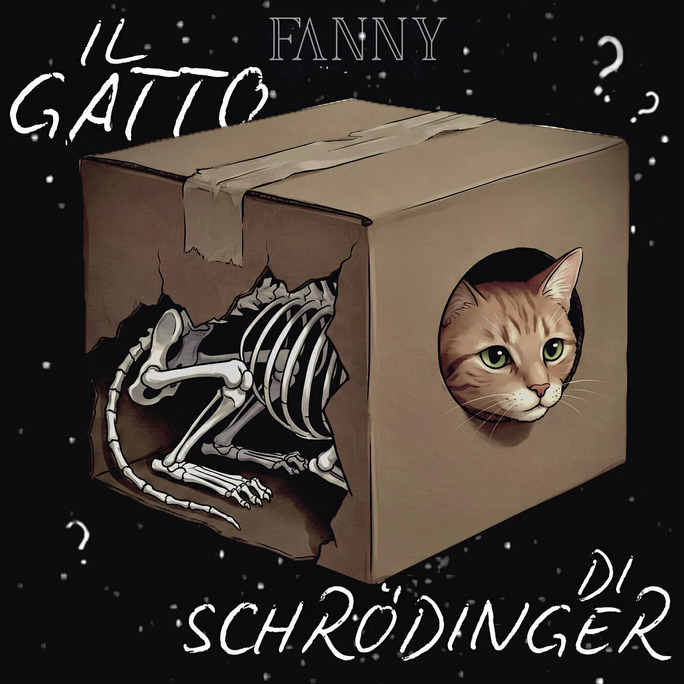 Релиз IL GATTO DI SCHRÖDINGER