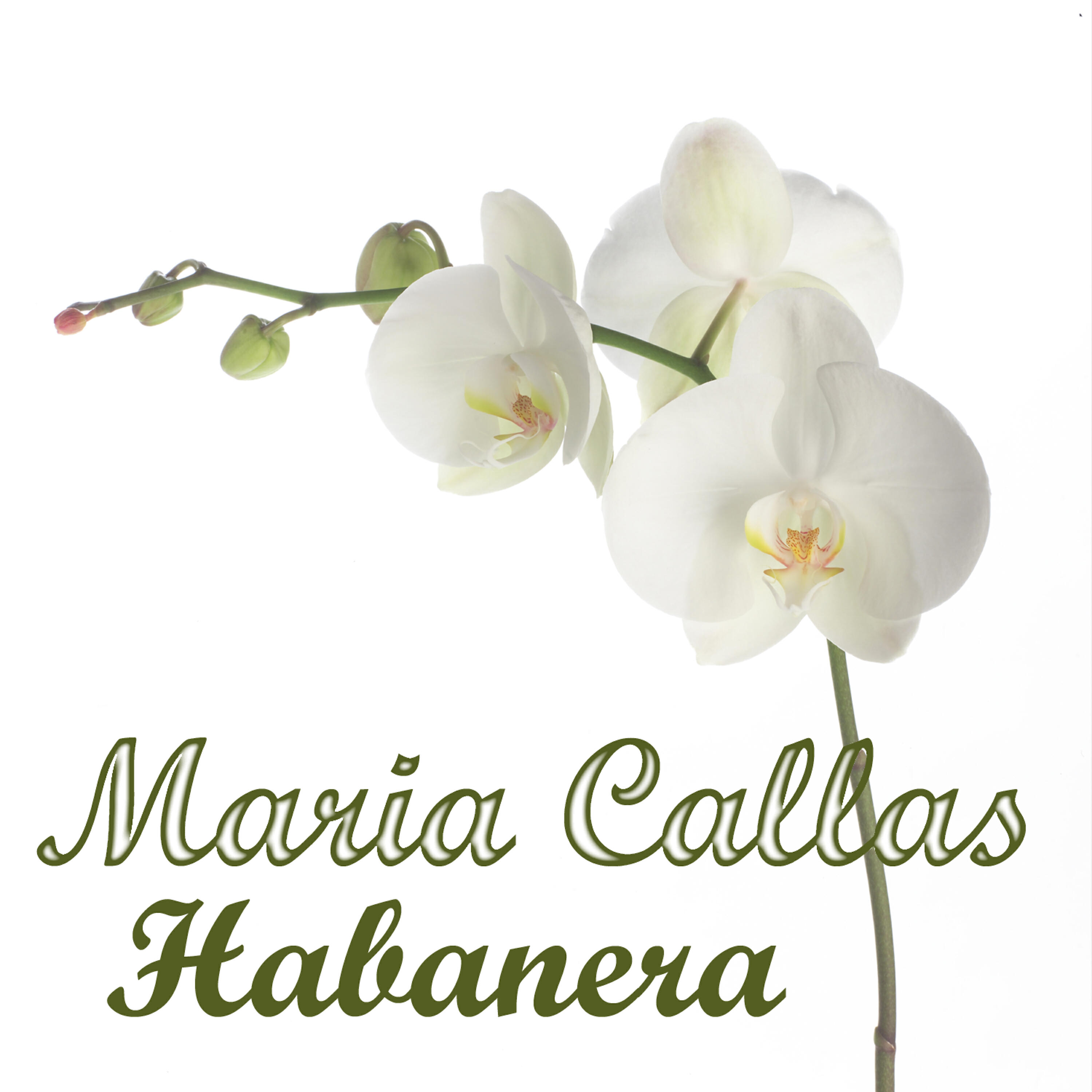 Релиз Habanera
