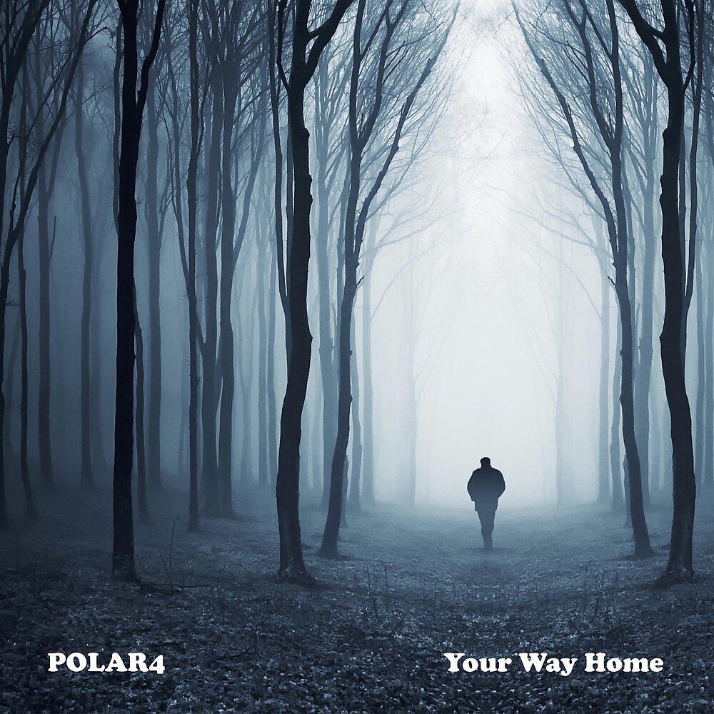 Polar4