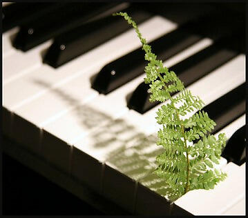 Relaxing Piano