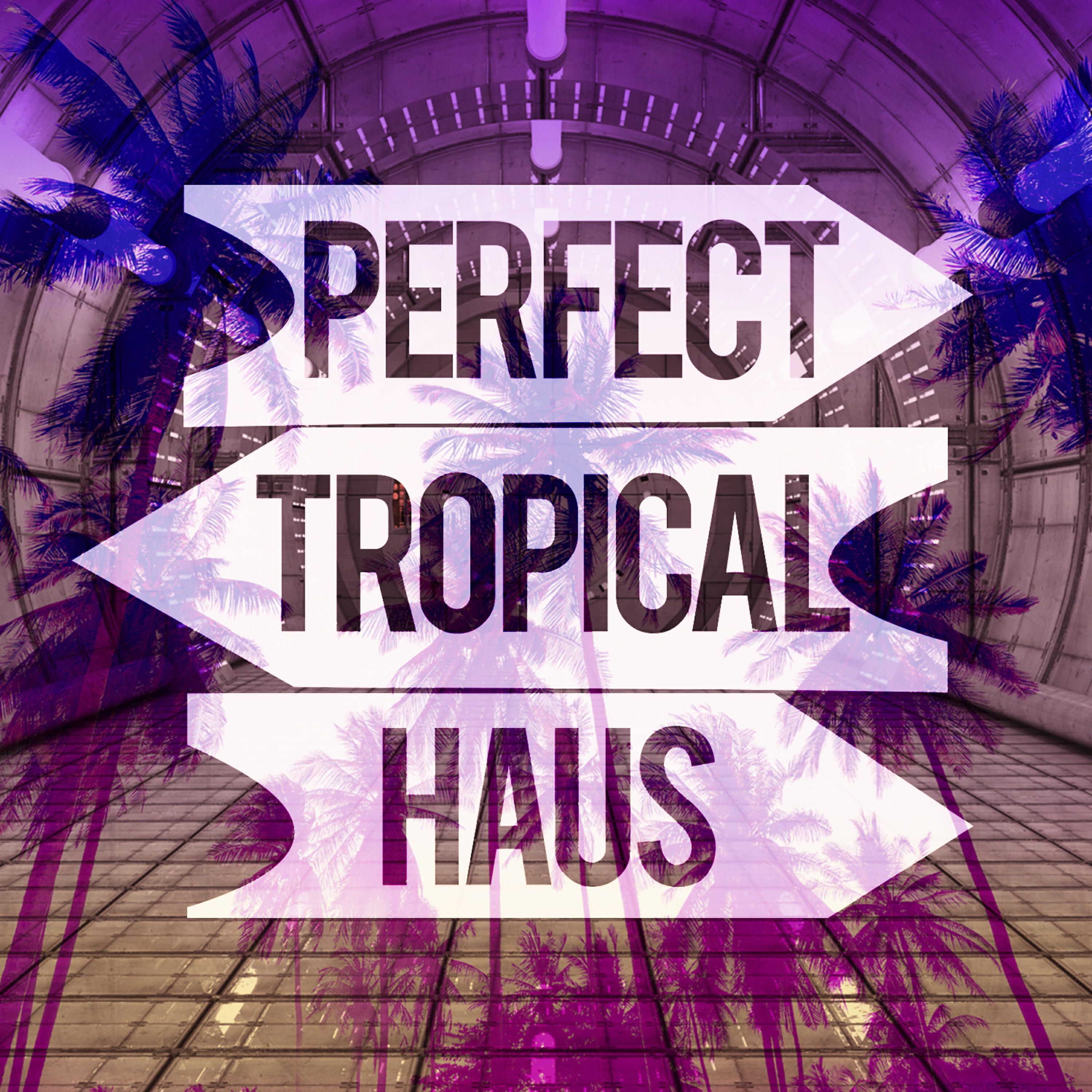 Perfect Tropical House