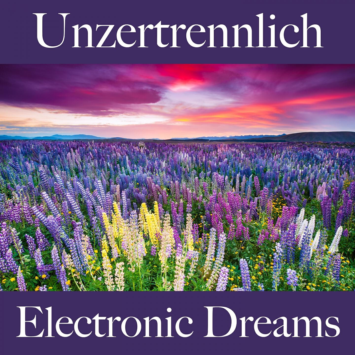 Релиз Unzertrennlich: Electronic Dreams - Die Beste Musik Für Die Zeit Zu Zweit