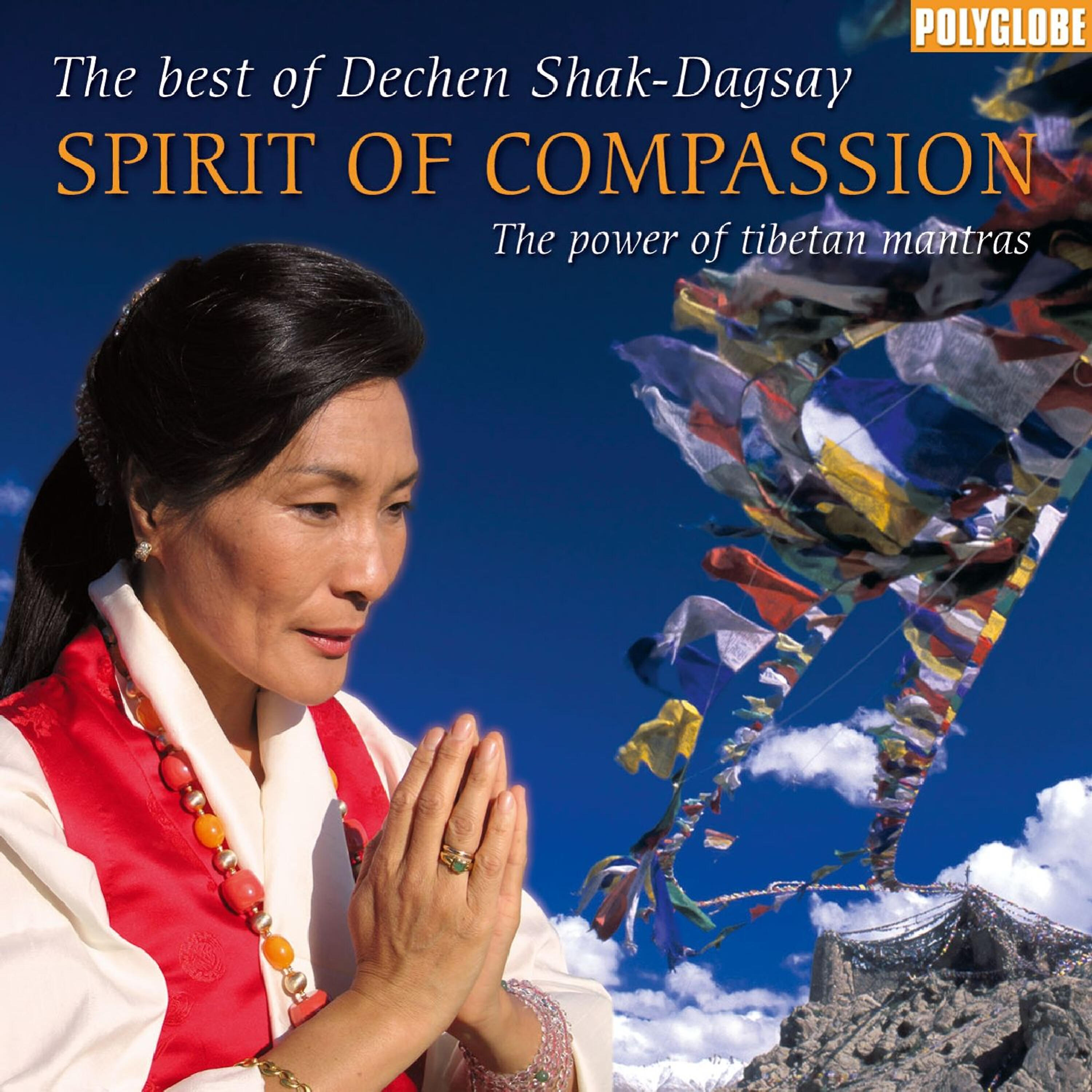 Релиз Spirit of Compassion