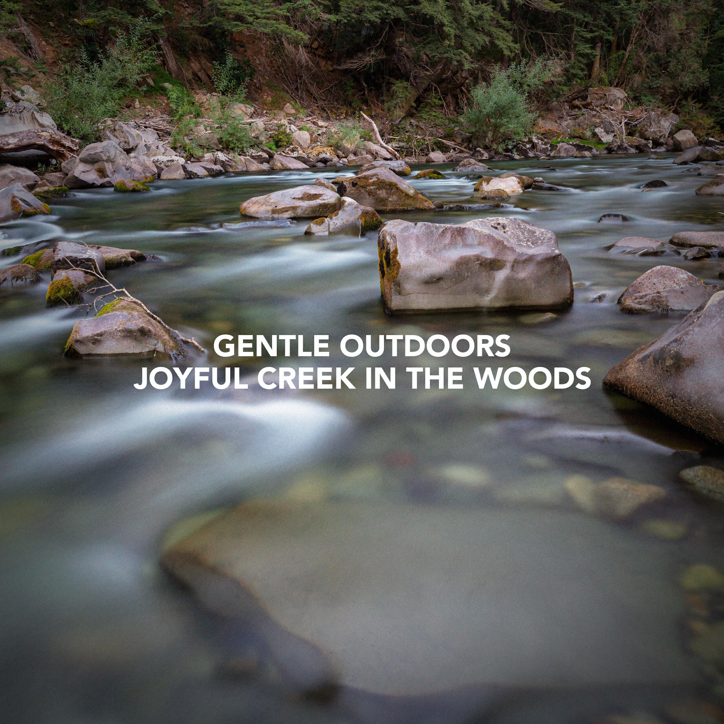 Релиз Joyful Creek in the Woods