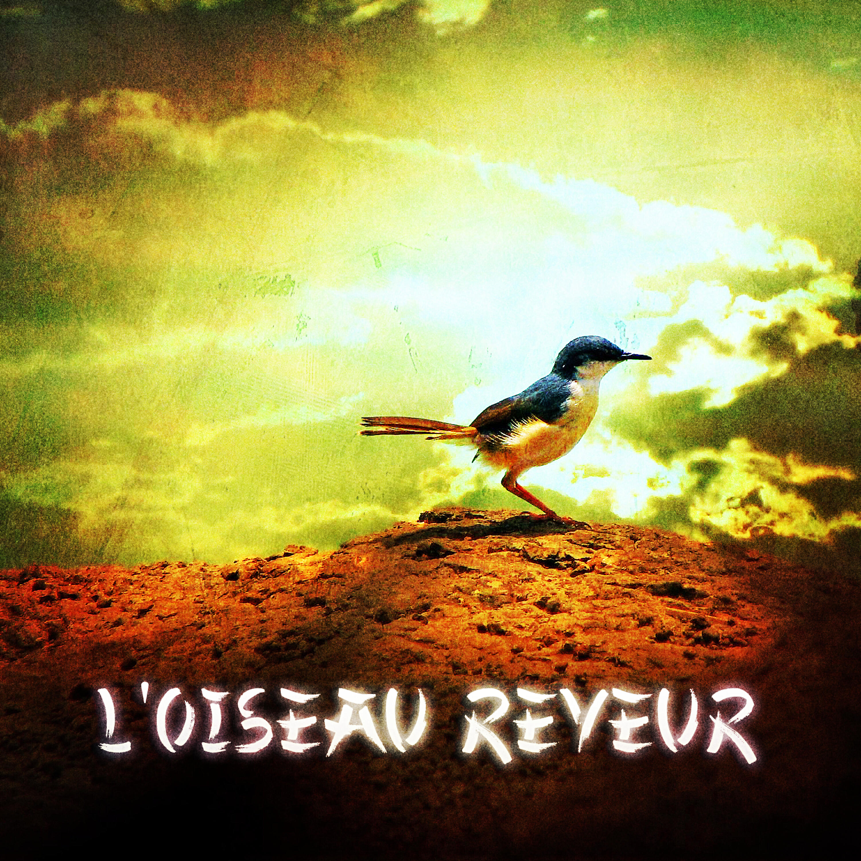 Постер альбома Zen & Relaxation: L'oiseau rêveur