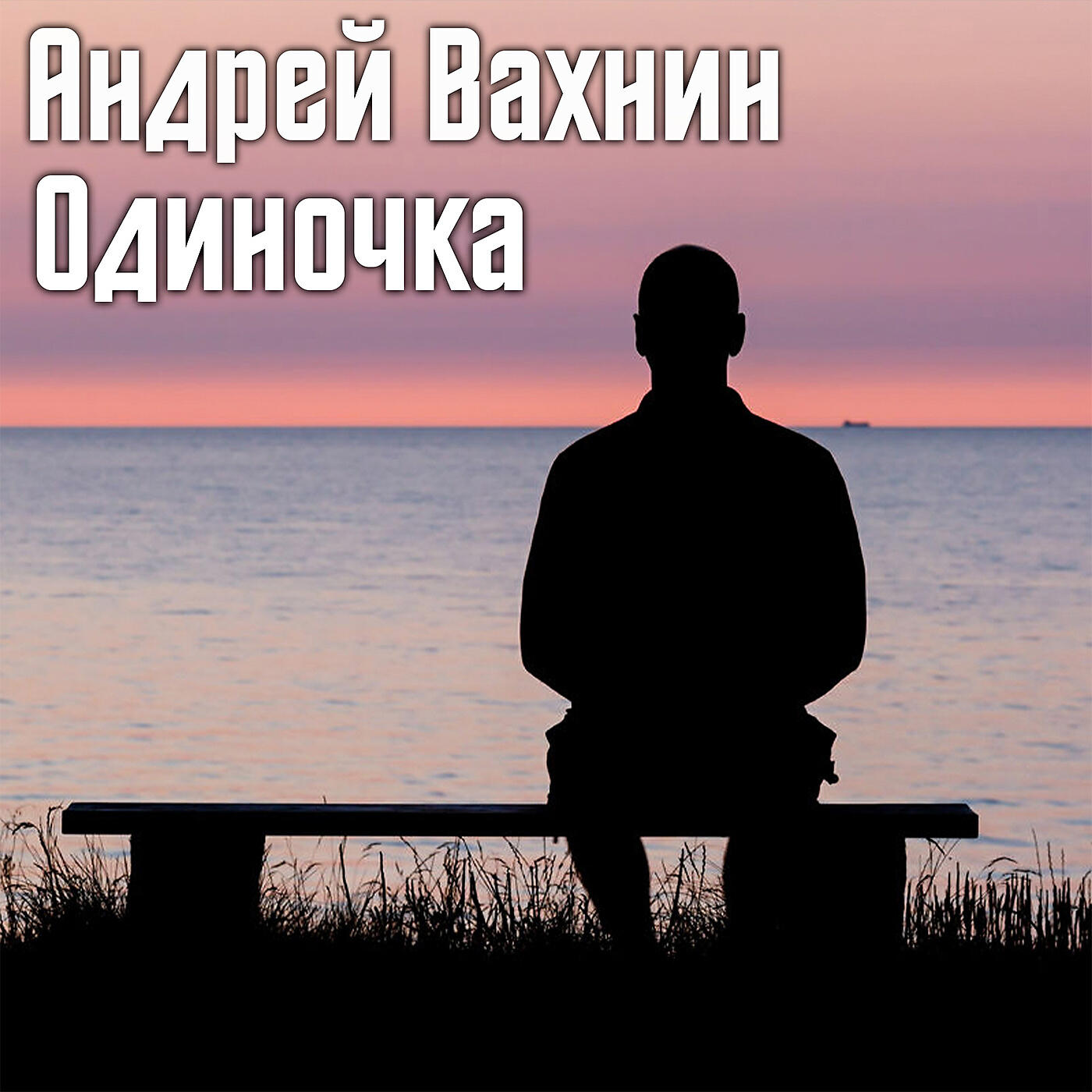 Постер альбома Одиночка