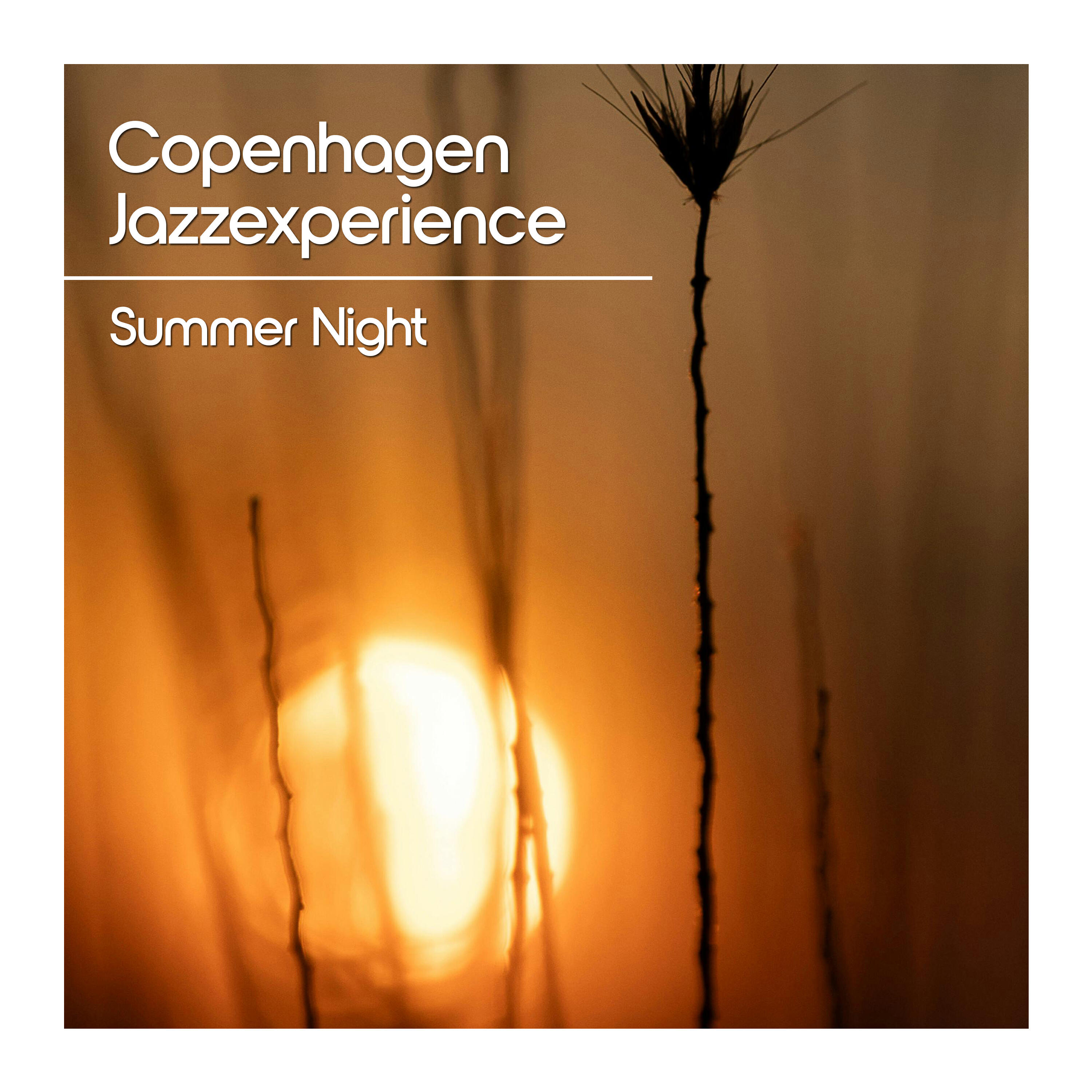 Релиз Summer Night