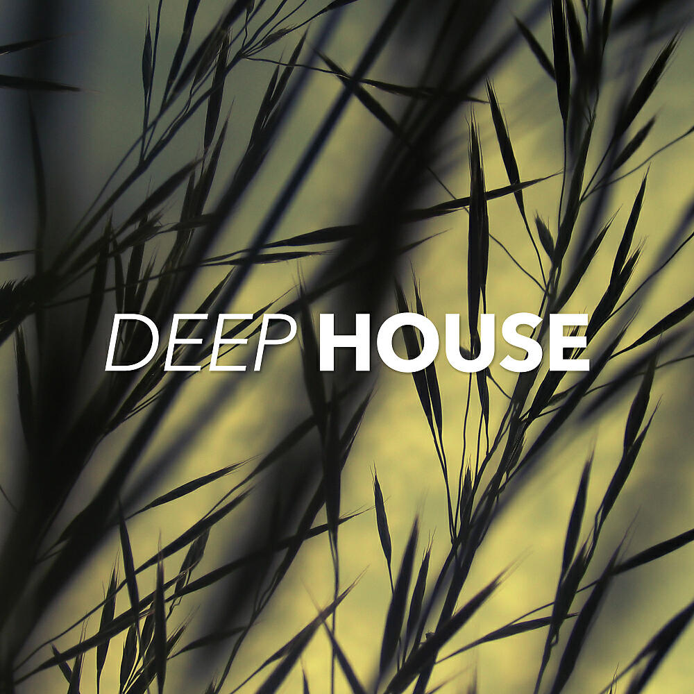 Постер альбома Deep House