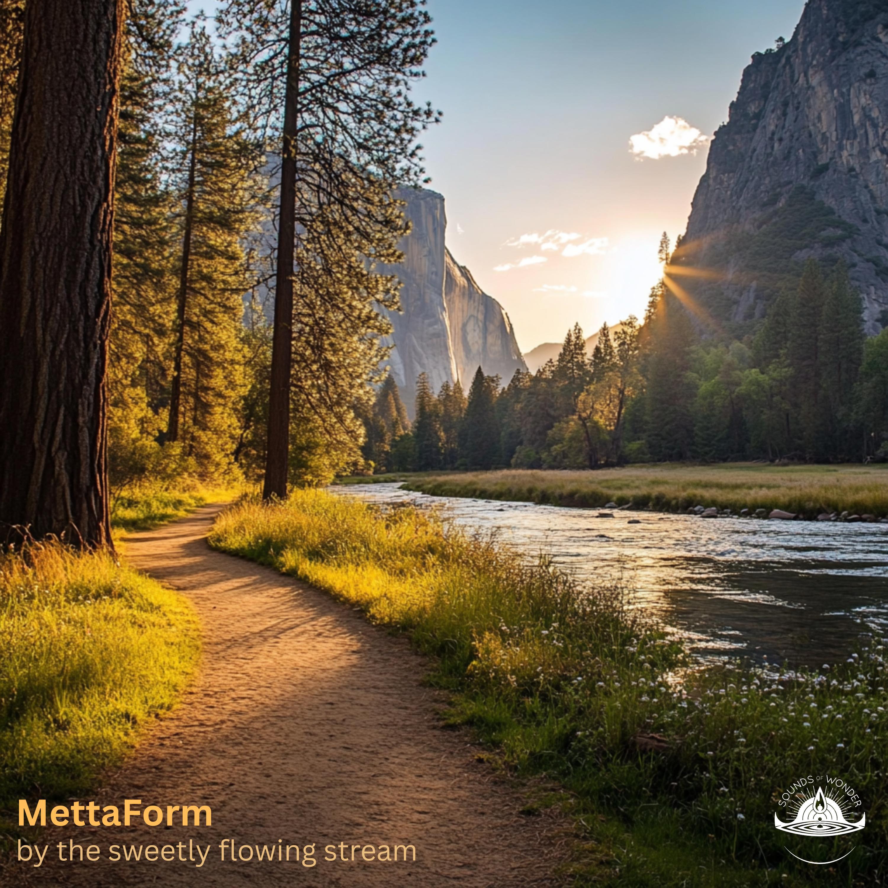 MettaForm
