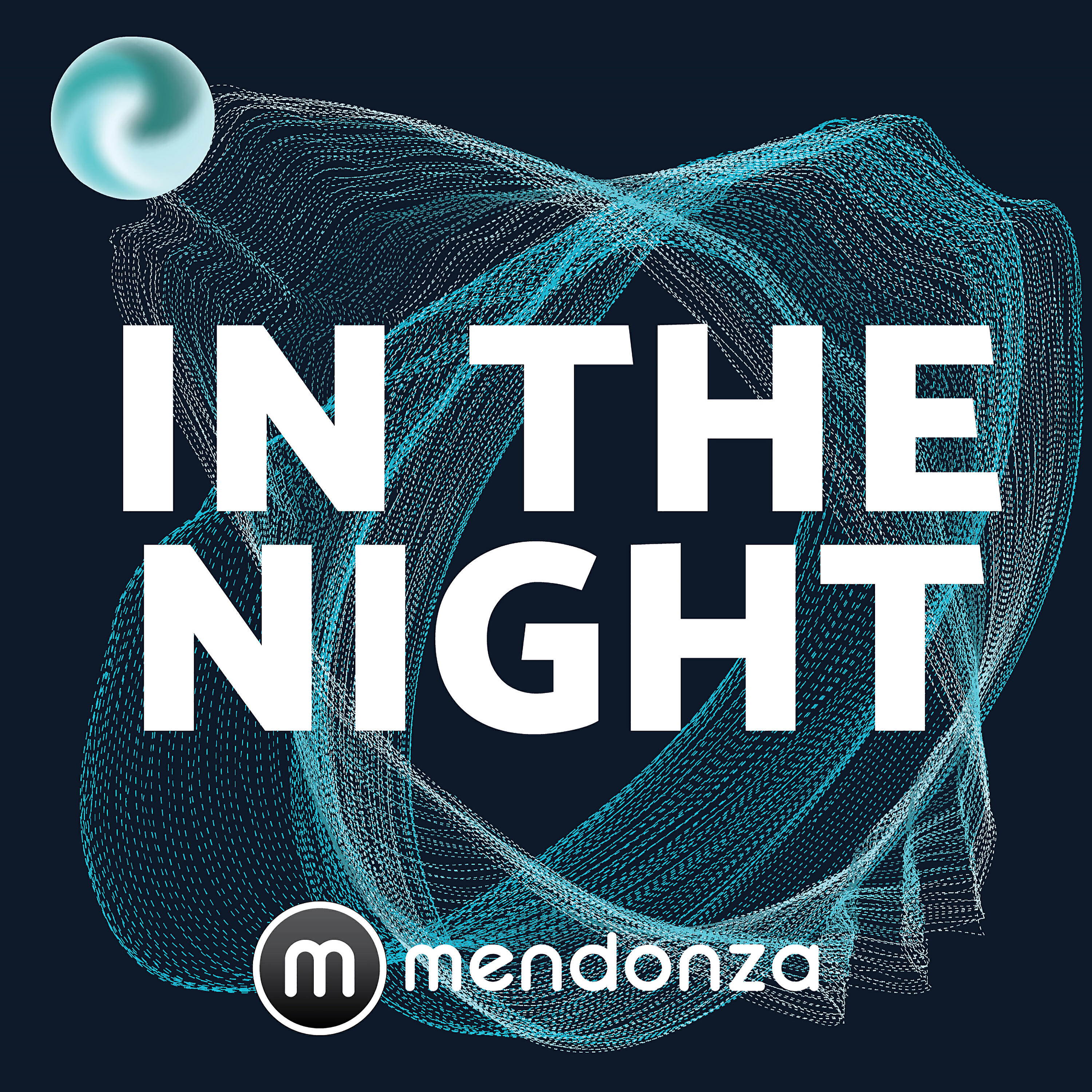 Релиз In The Night