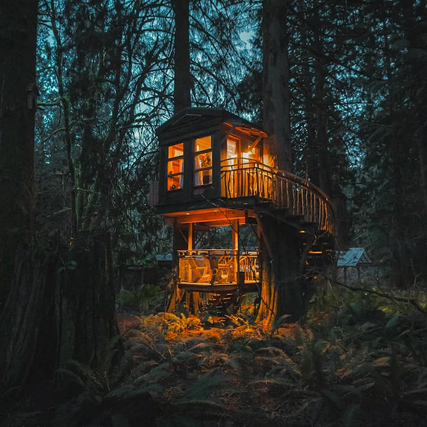 Релиз Treehouses