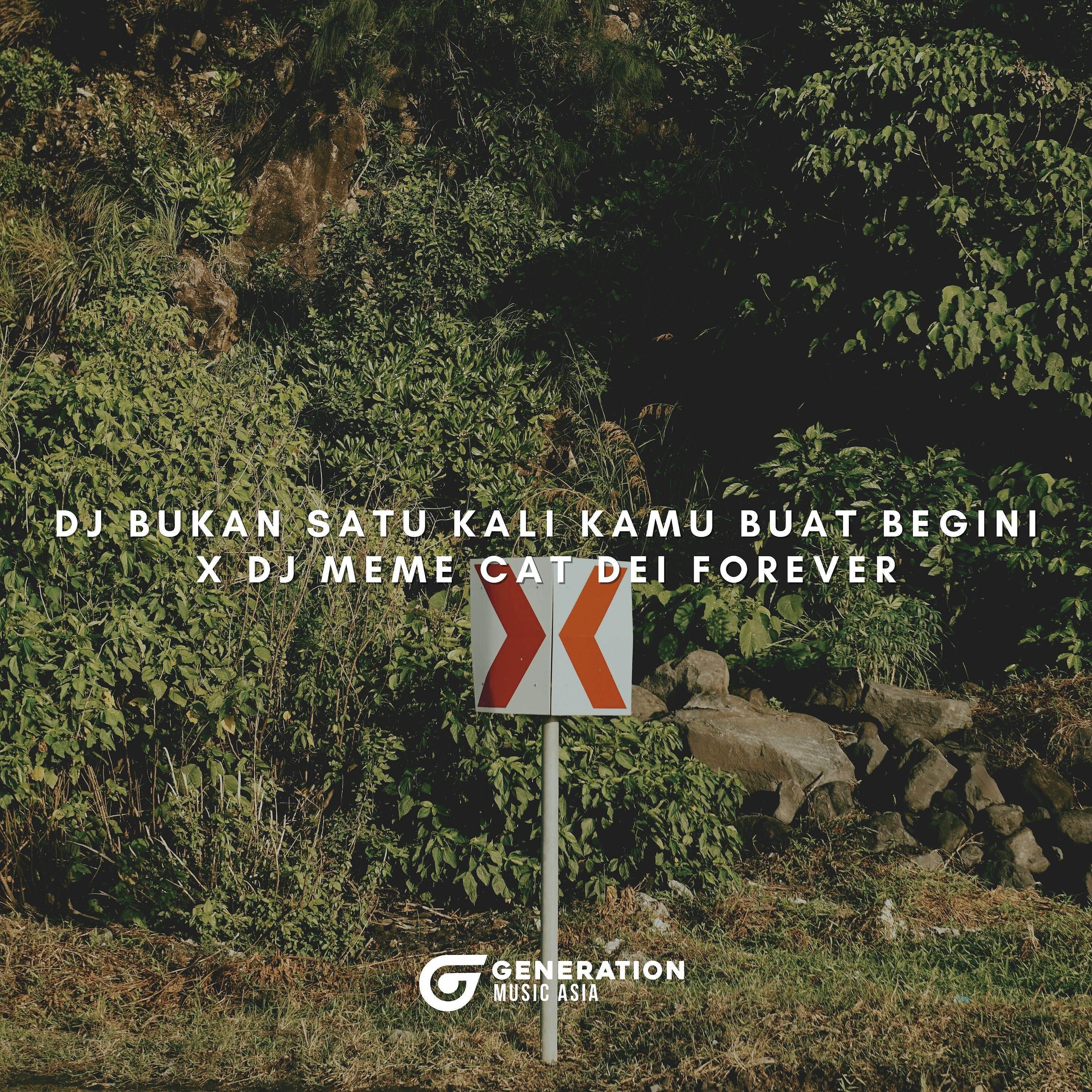 Релиз DJ BUKAN SATU KALI KAMU BUAT BEGINI X DJ MEME CAT DEI FOREVER