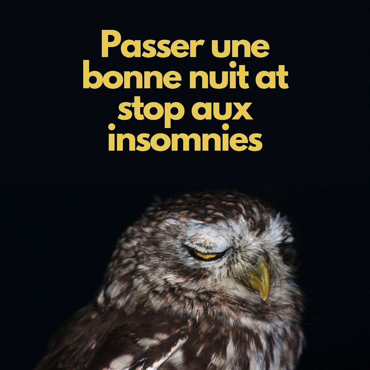 Релиз Passer une bonne nuit at stop aux insomnies