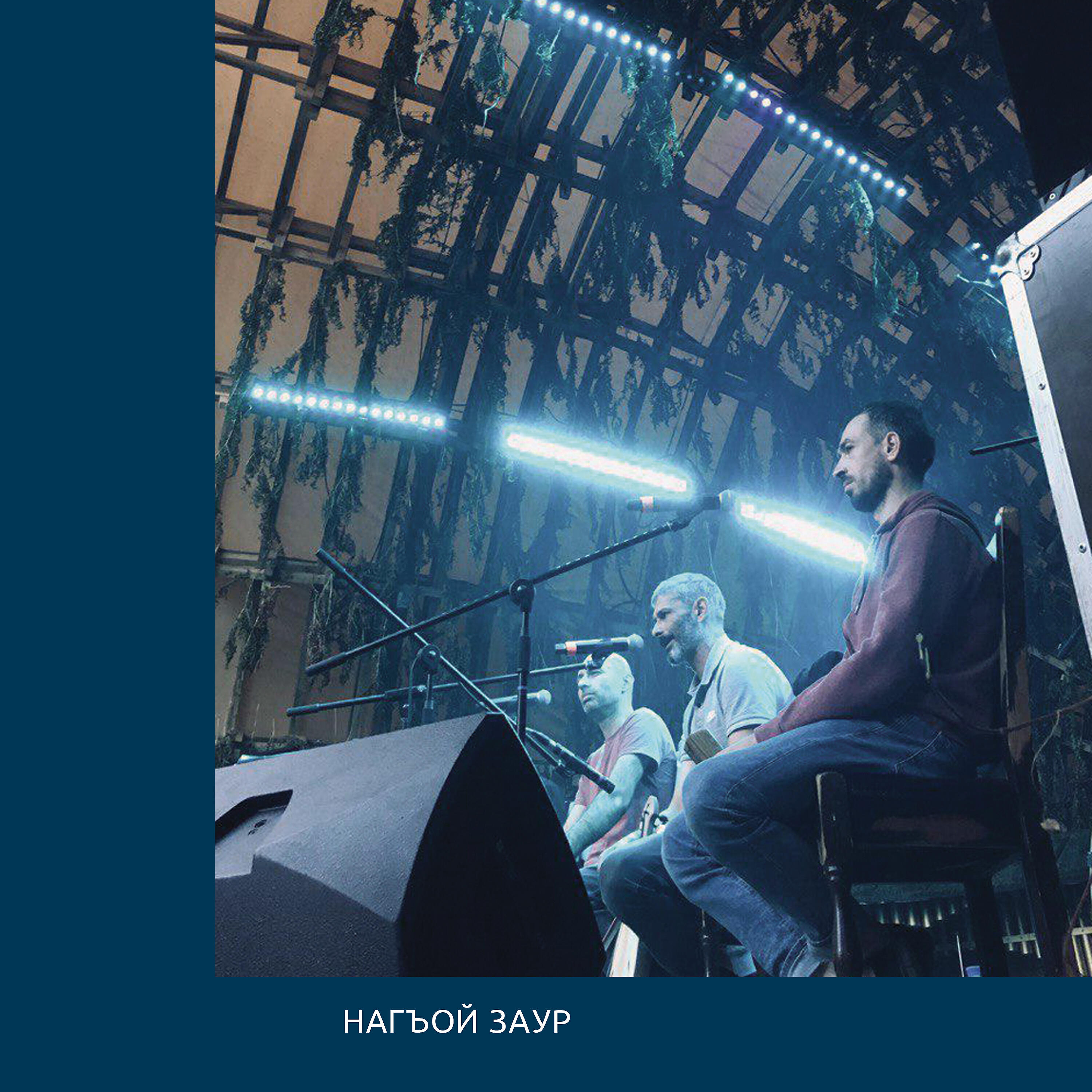 Релиз Songs & Speeches (Live at Fields Festival)