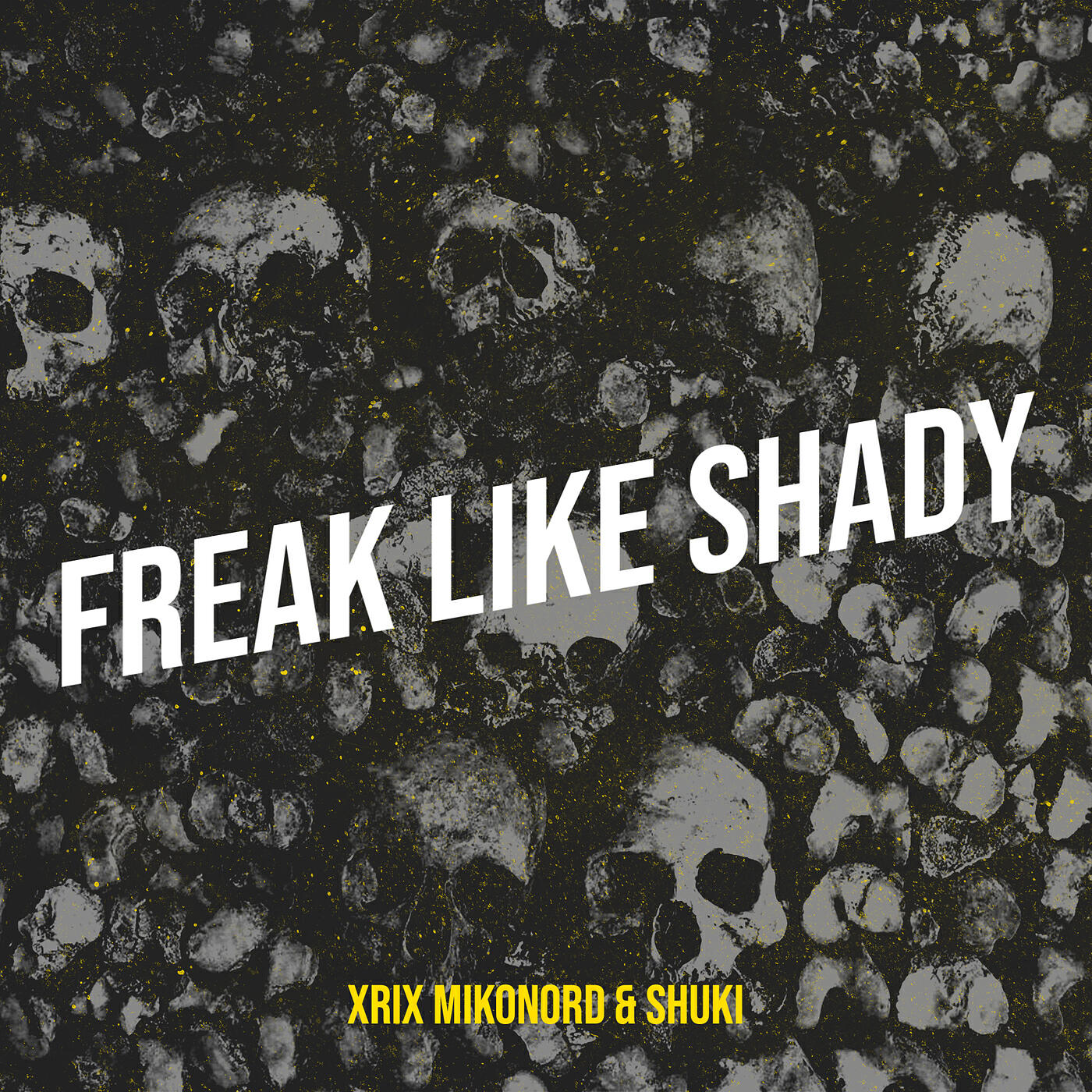 XRIX MIKONORD