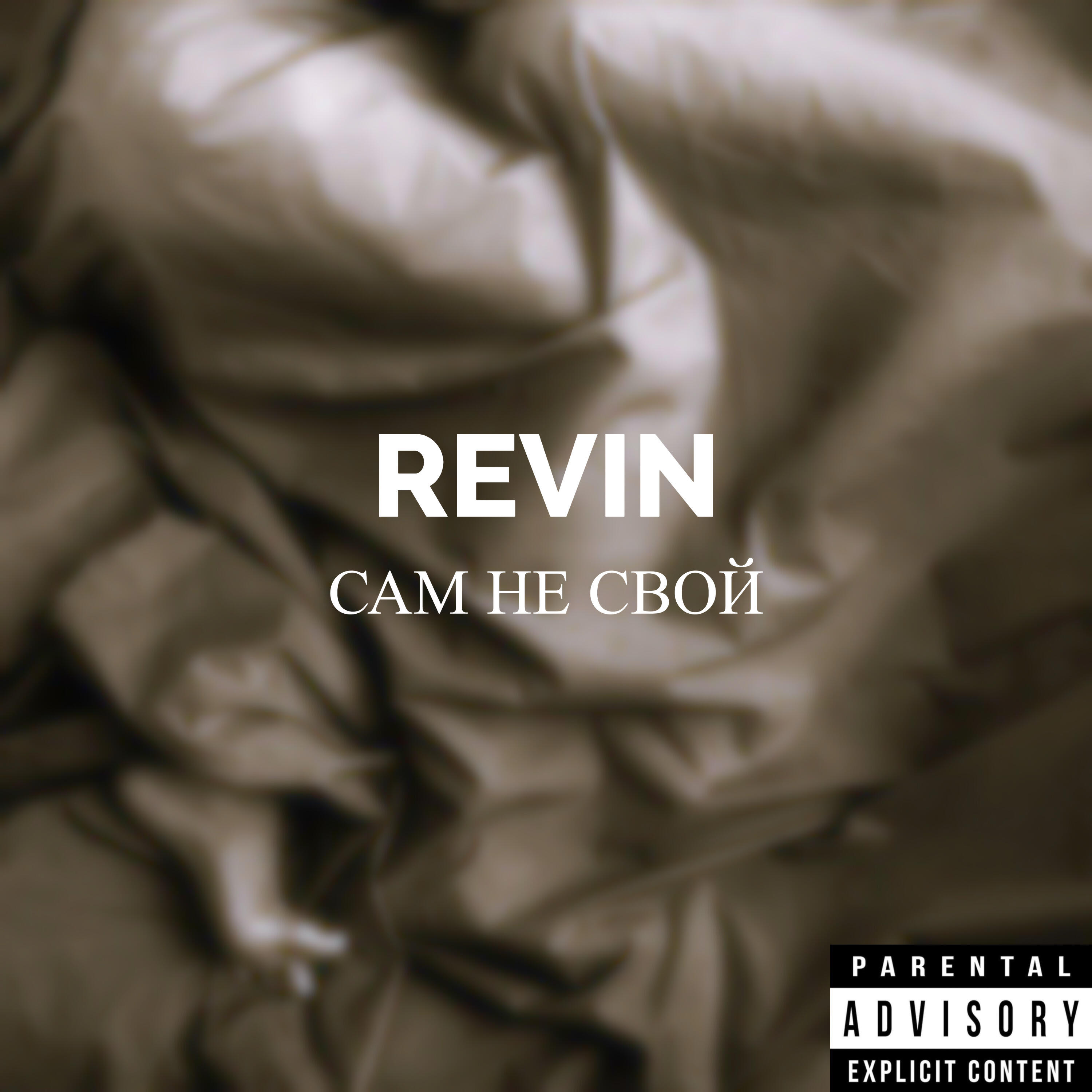 Revin