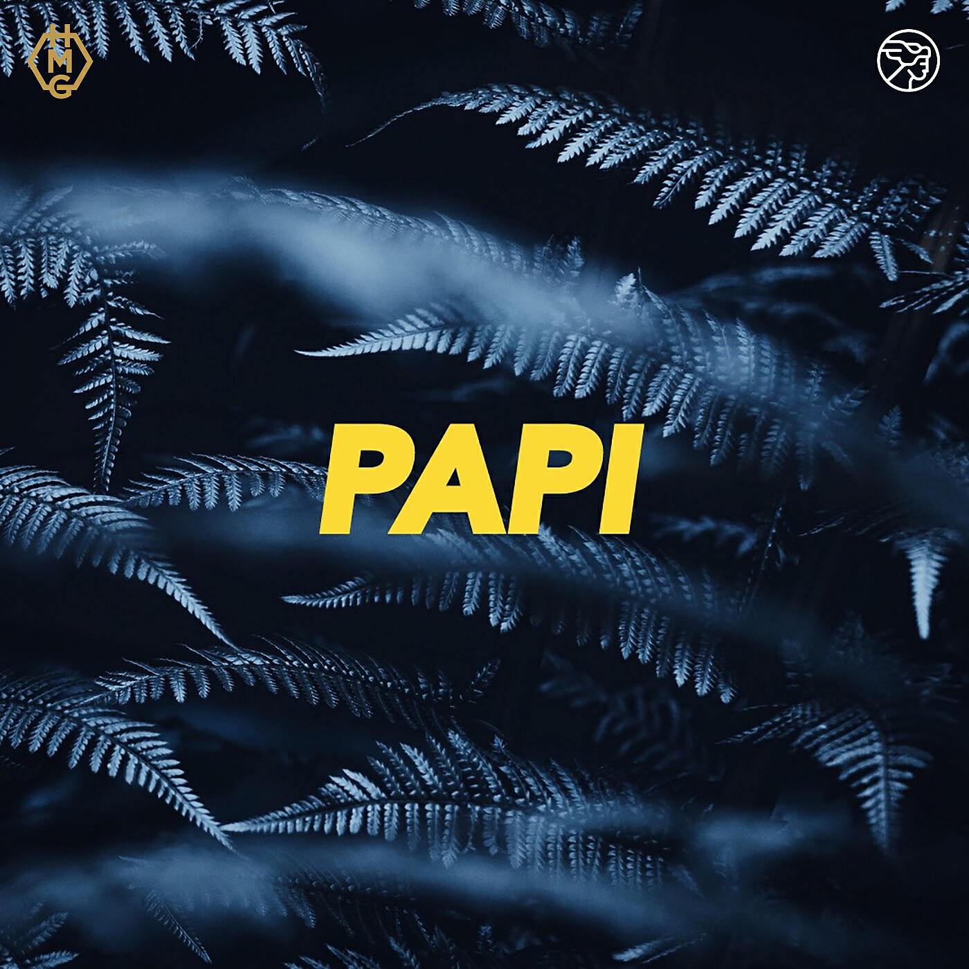 Релиз Papi