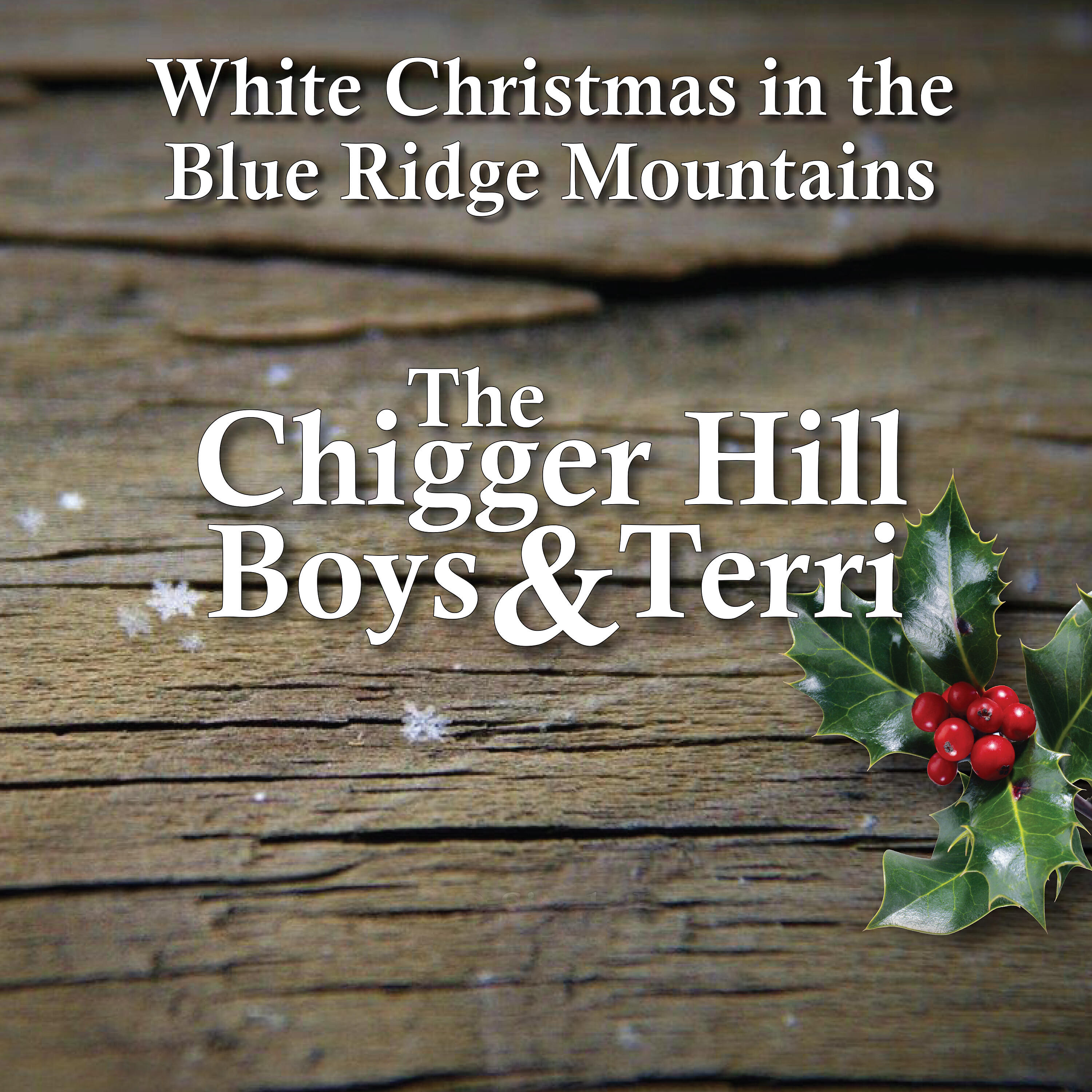 Релиз White Christmas in the Blue Ridge Mountains