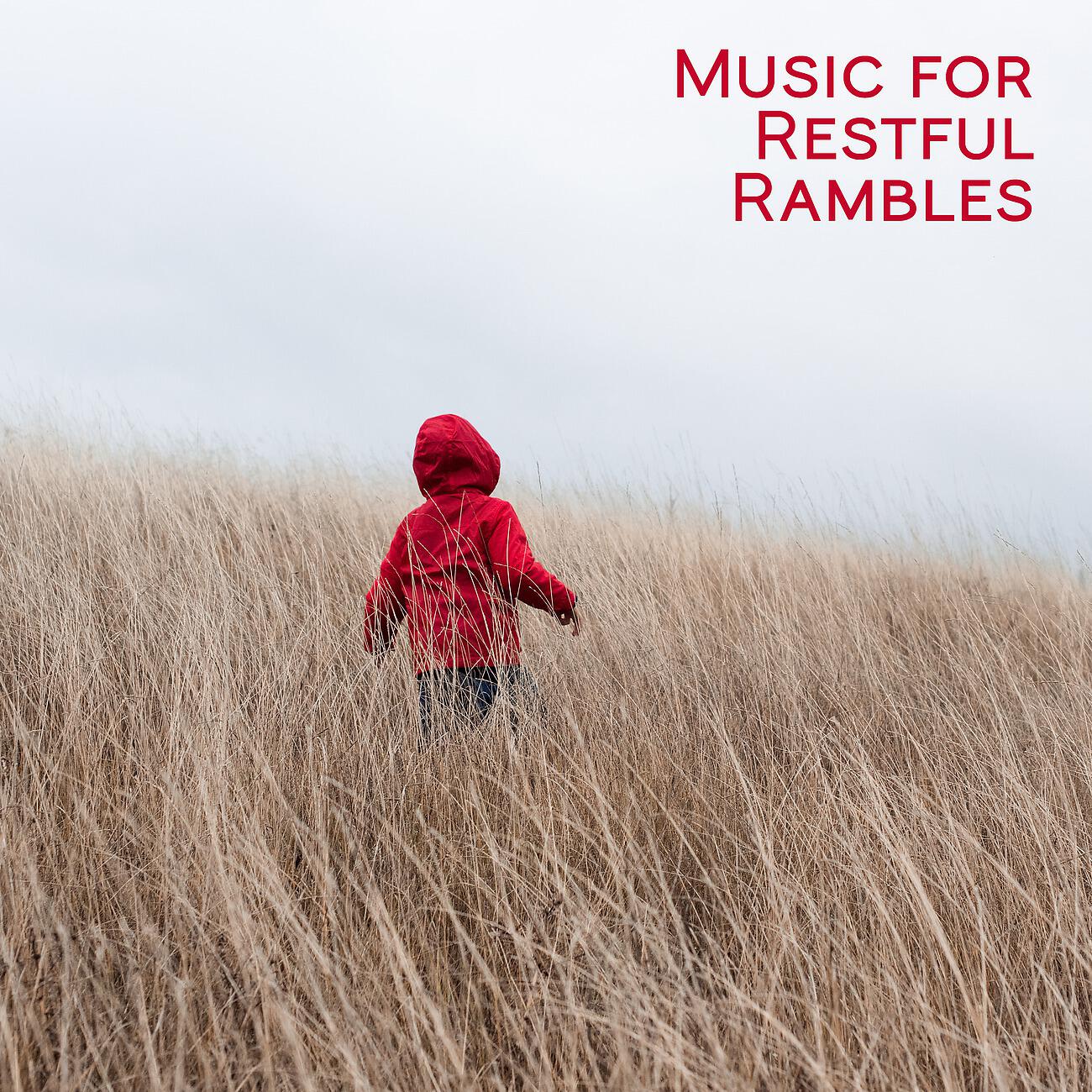 Релиз Music for Restful Rambles