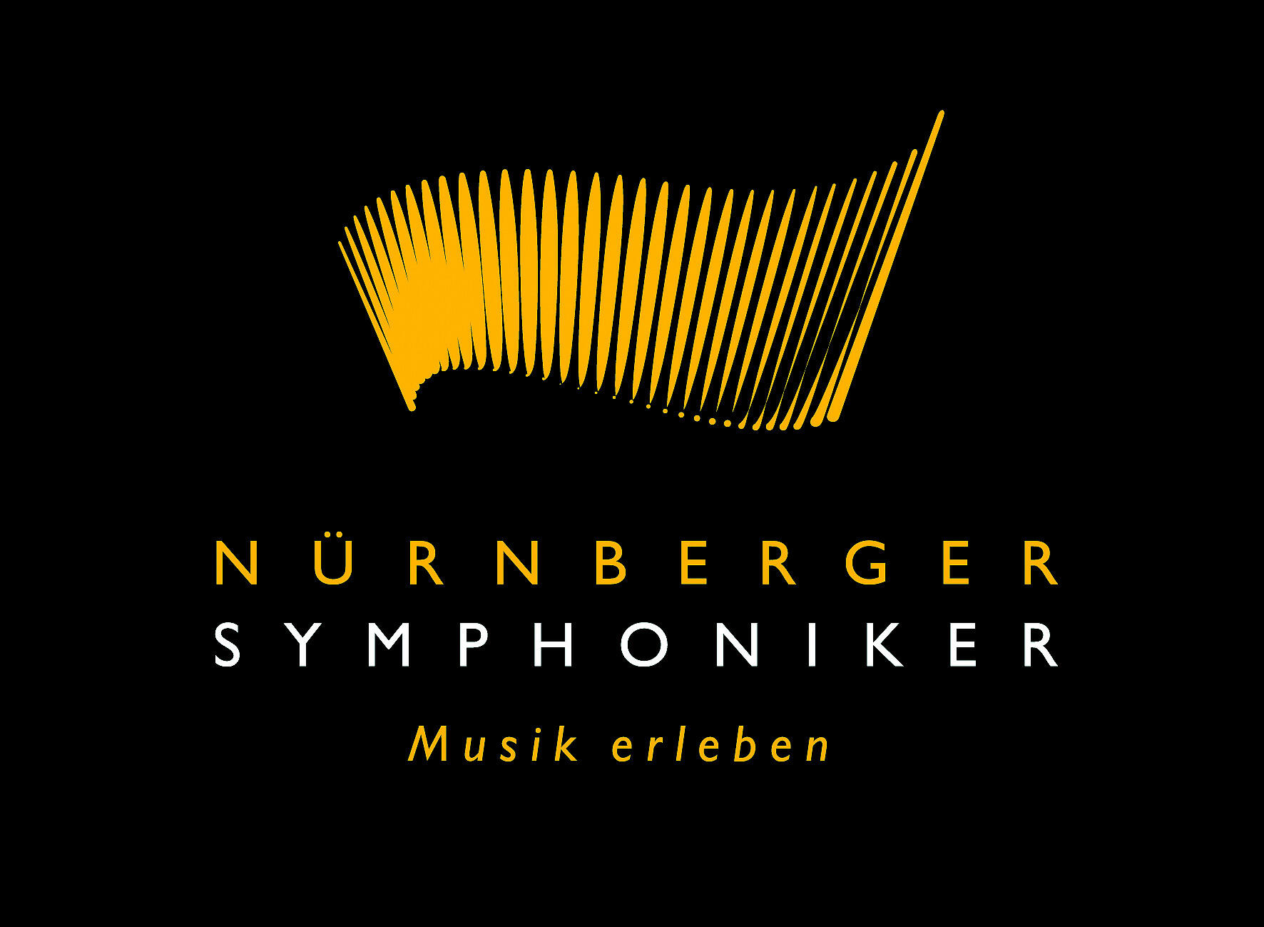 Nüremberg Symphony Orchestra