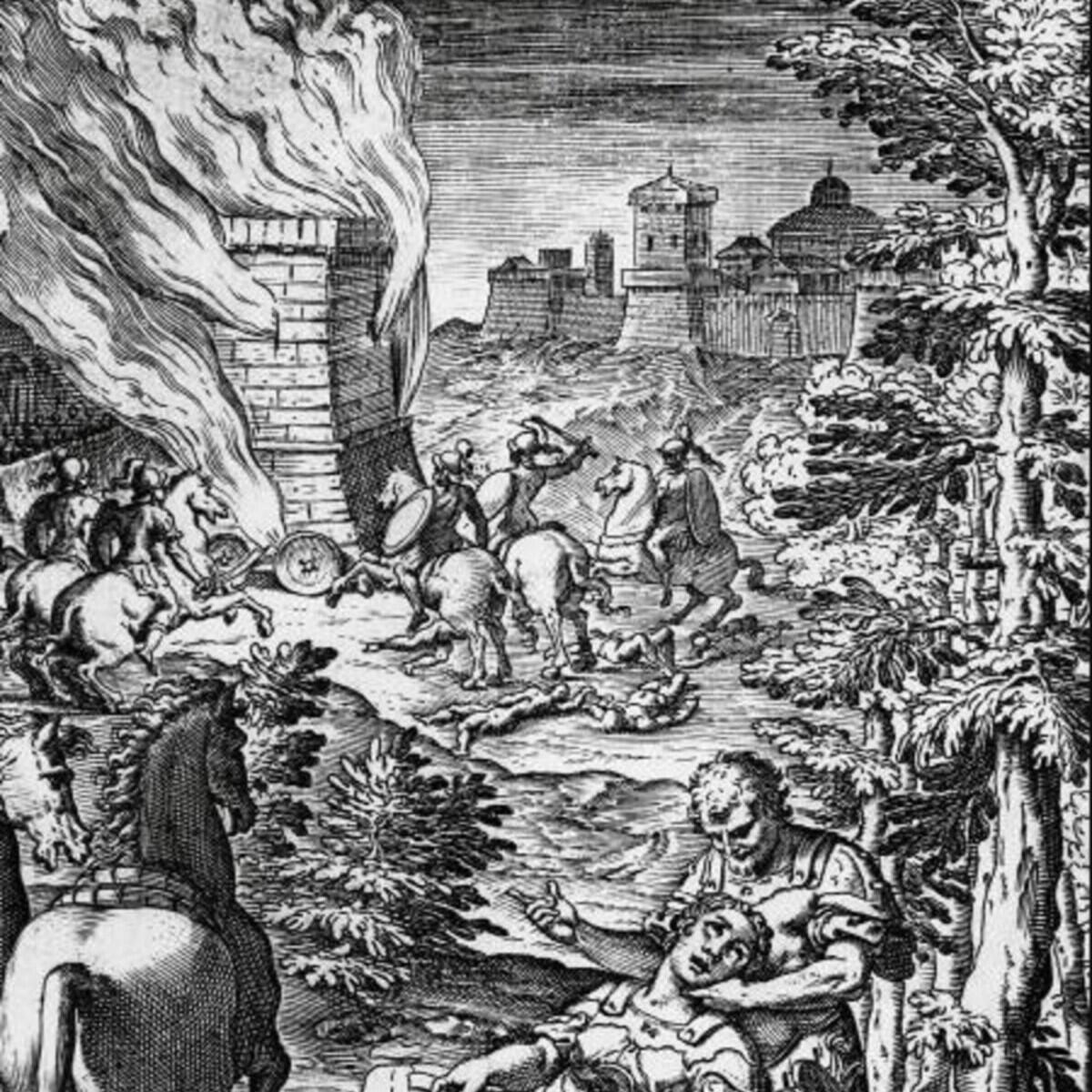 Релиз bernardo tasso