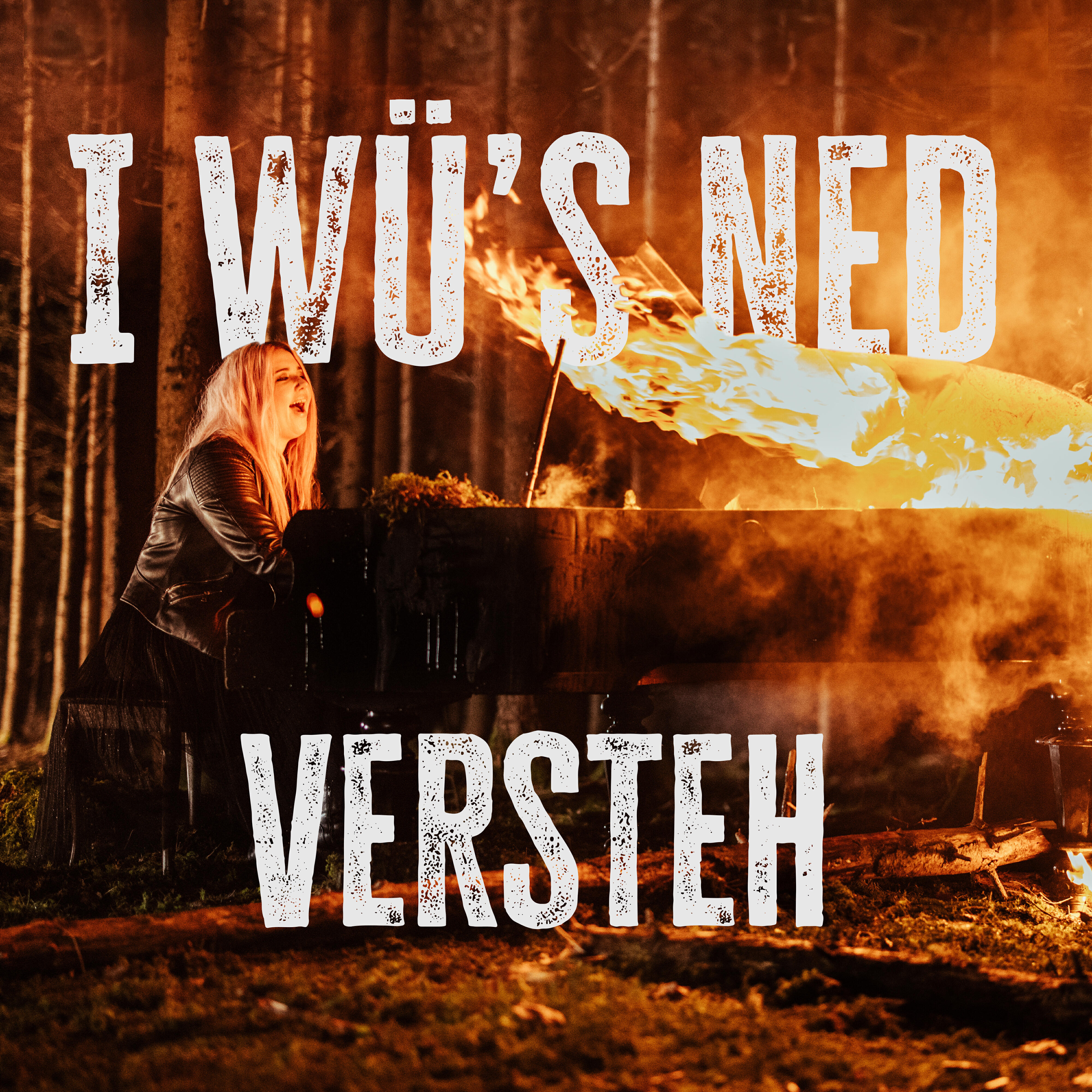 Релиз I wü´s ned versteh