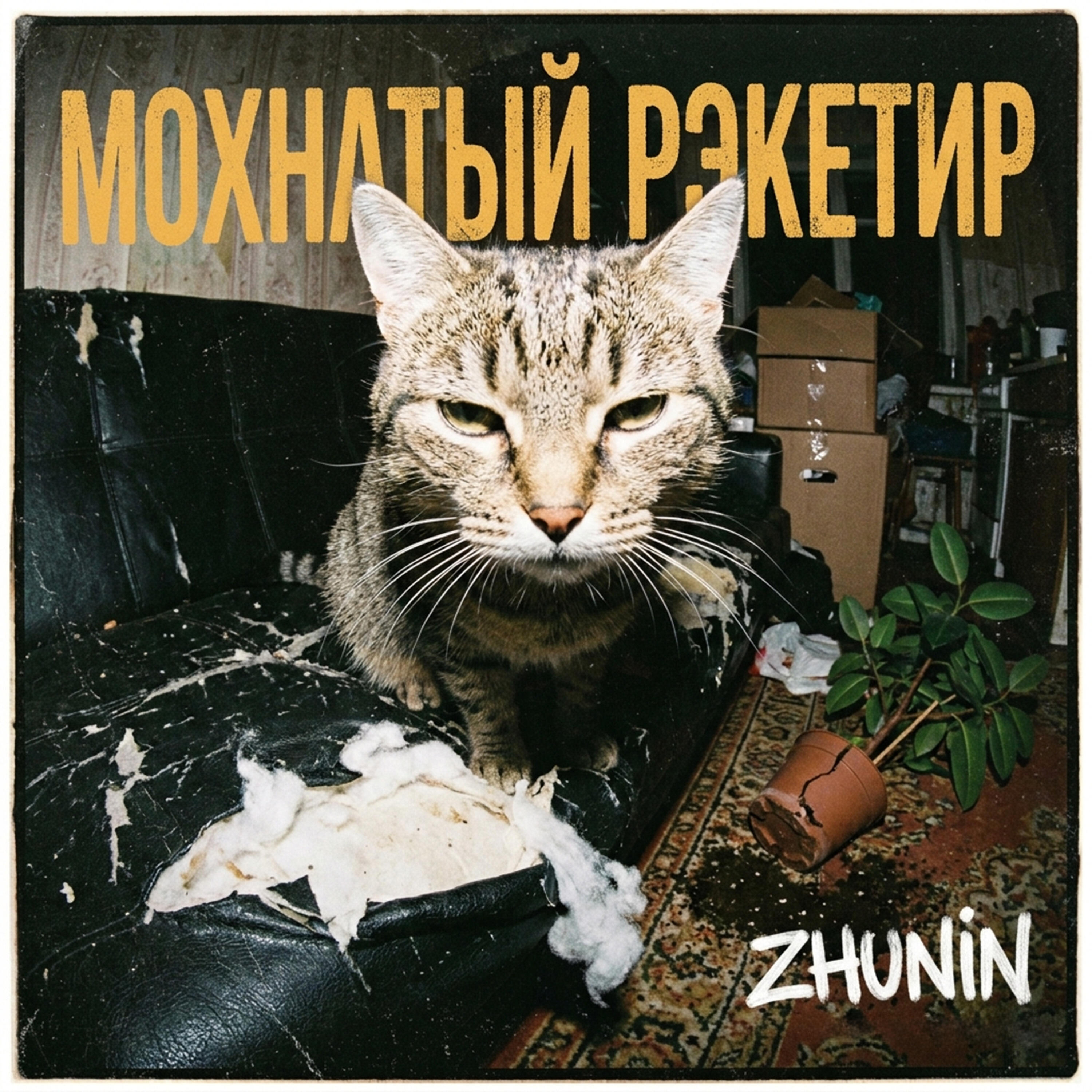 Zhunin