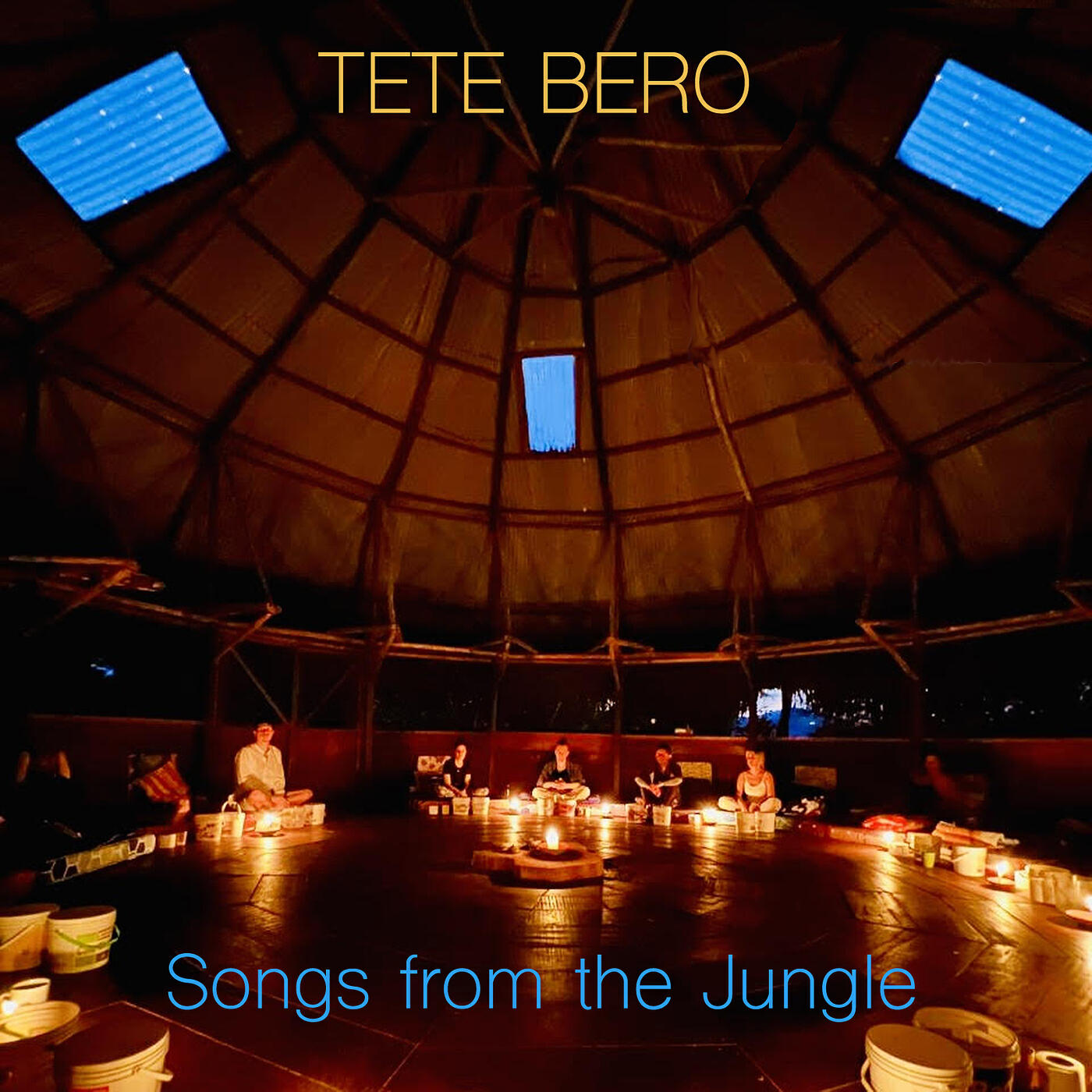 Релиз Songs from the Jungle