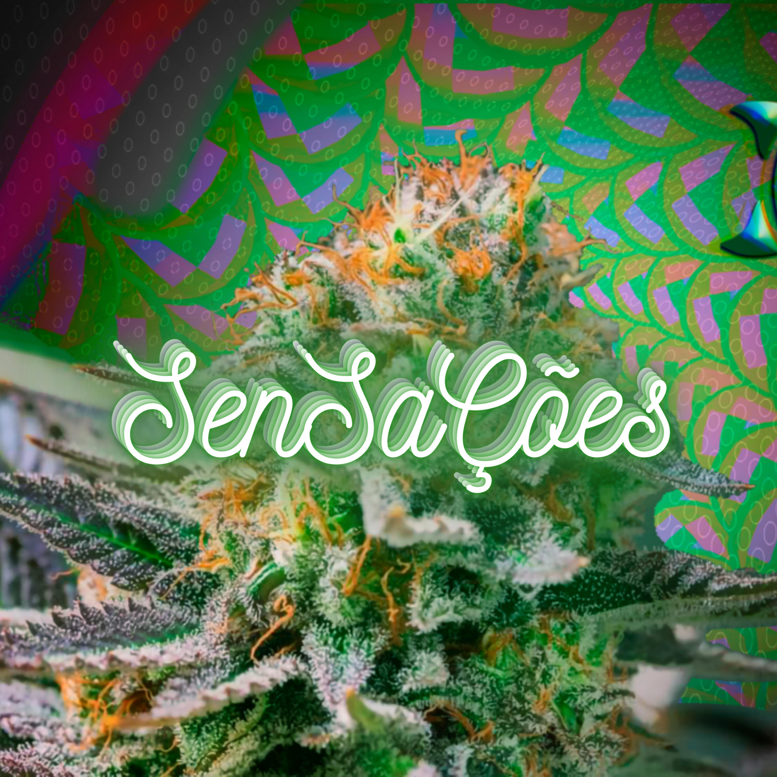 Релиз Sensaçoes
