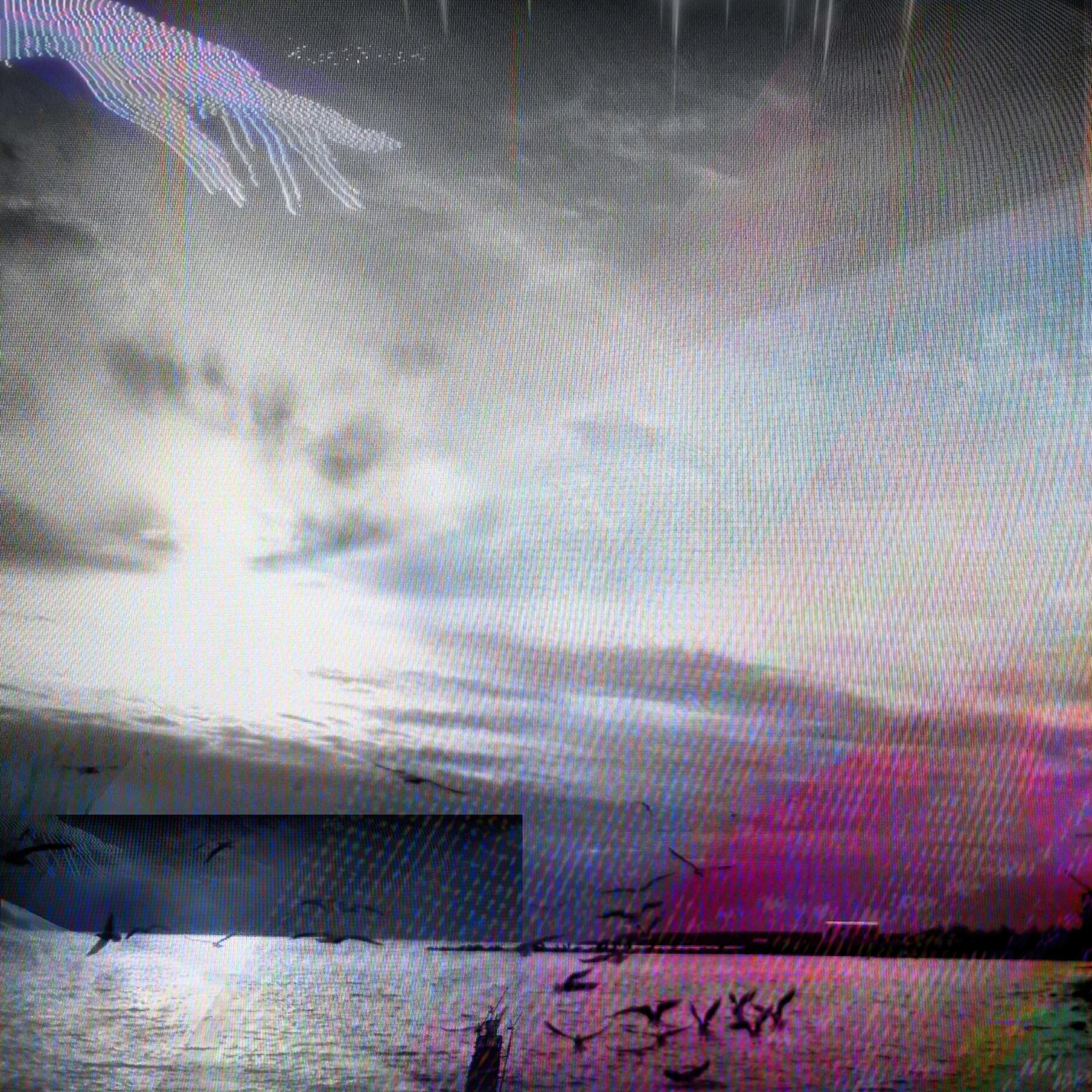 Релиз Forget