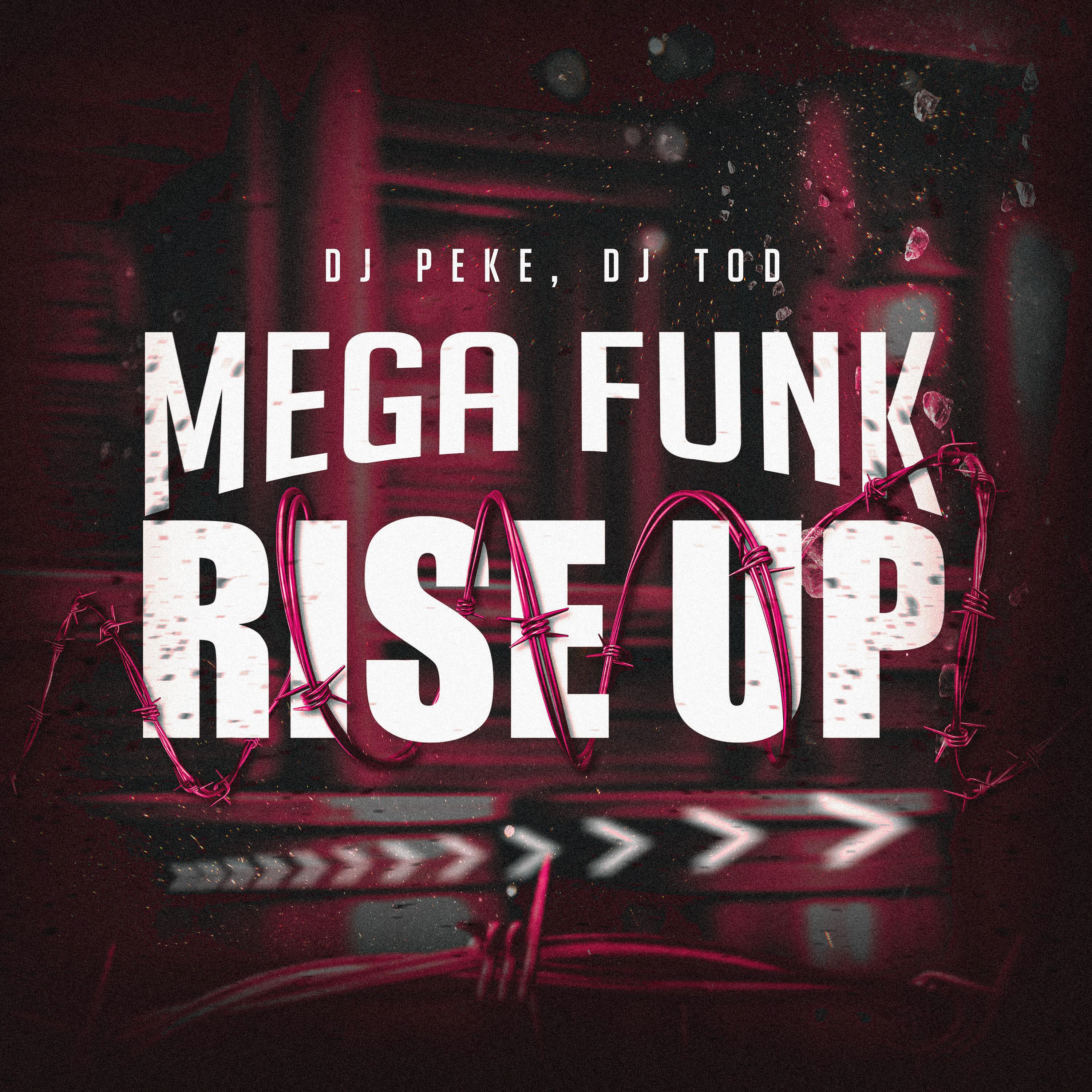 Релиз Mega Rise Up