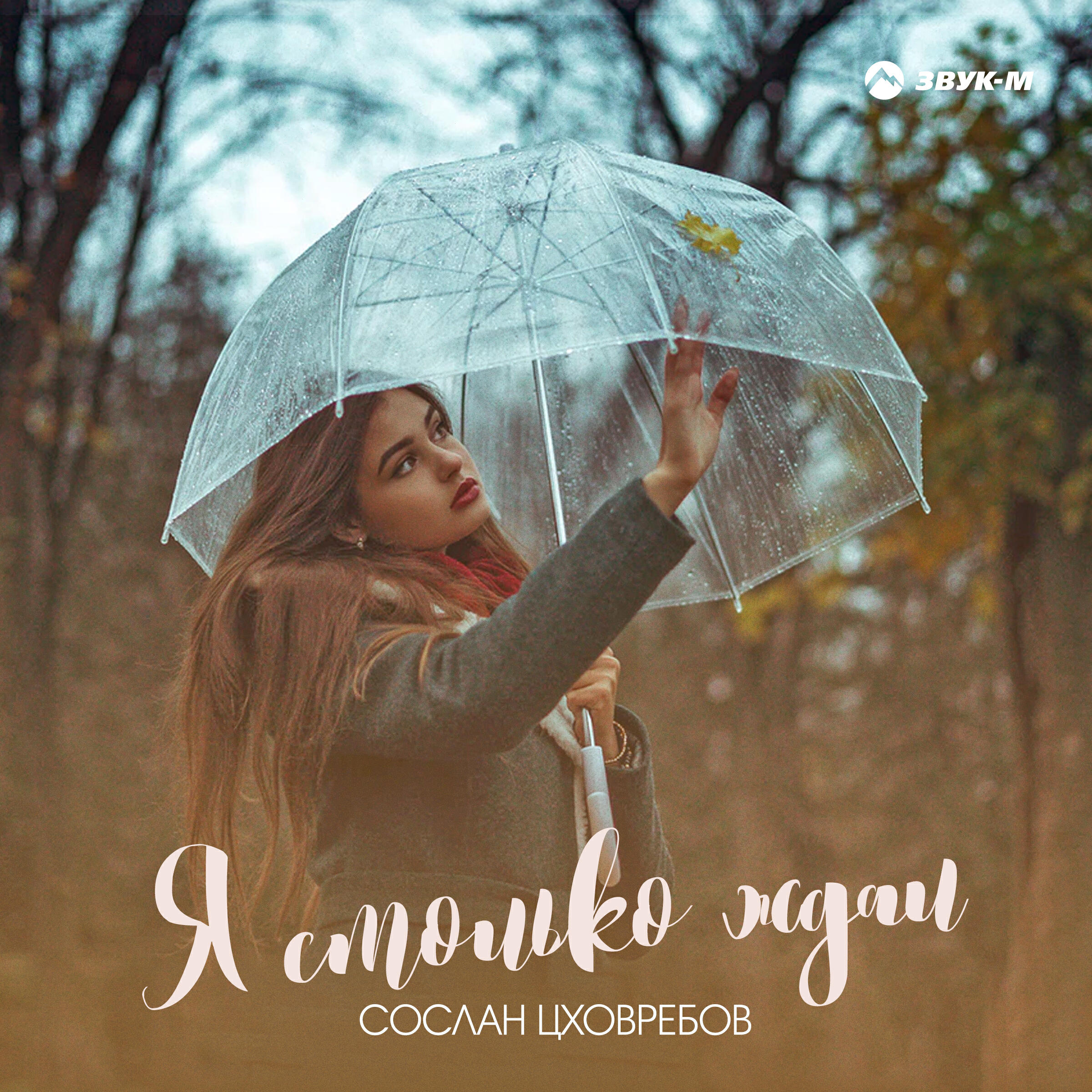 Релиз Я столько ждал